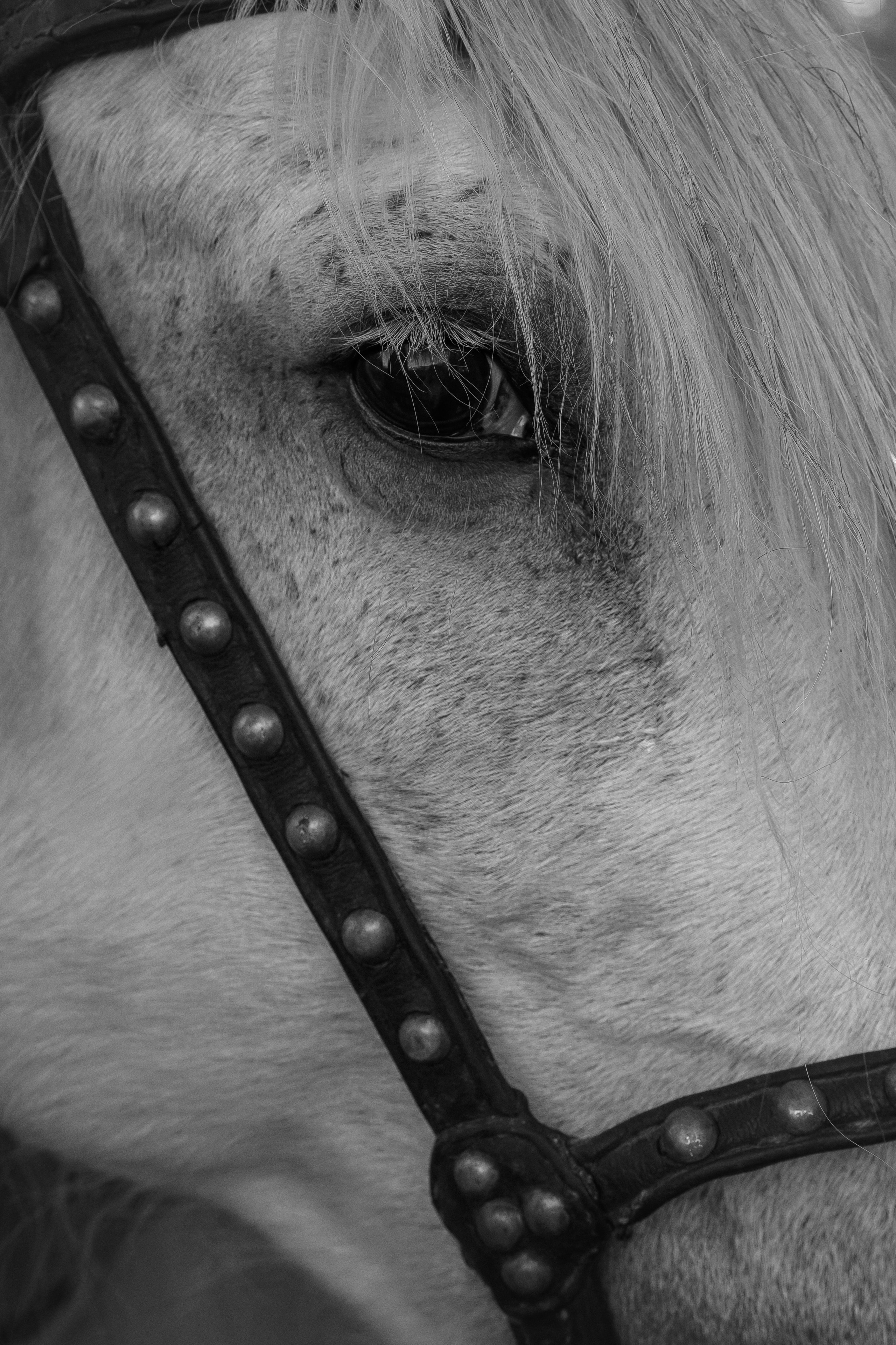 Оля + Максим. Моменты и истории о вас настоящих