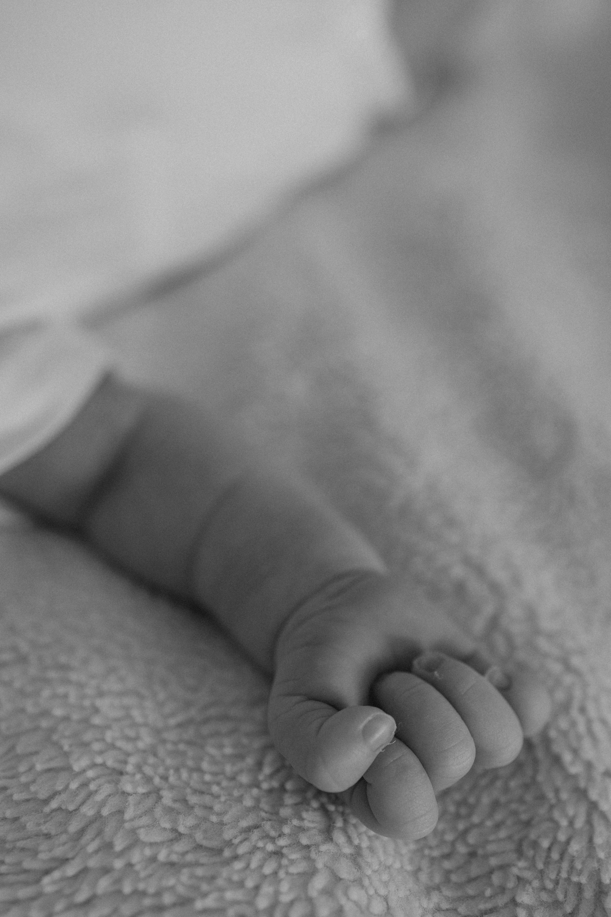 Сашенька. Свадебный и семейный фотограф в Москве Дарья Тюленева