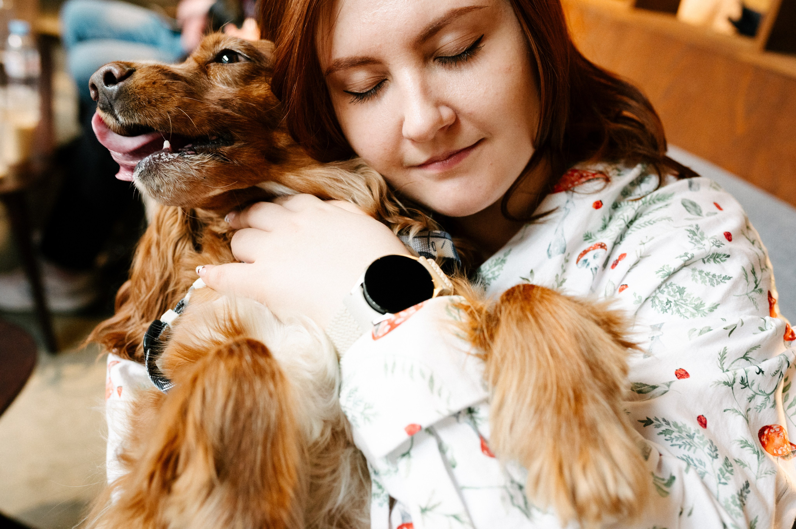 Рыжая команда. Фотограф анималист в Москве Ольга Агушева