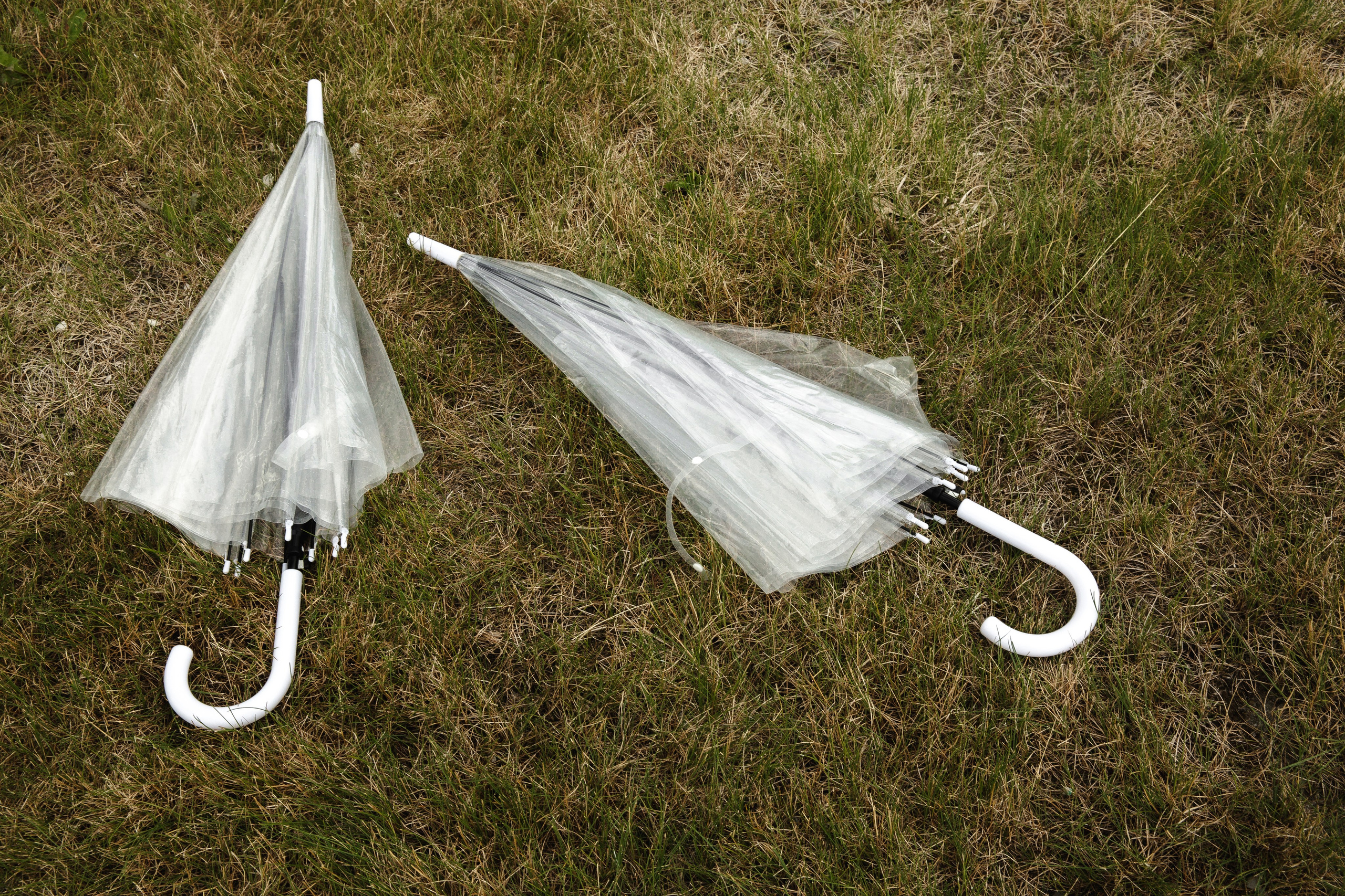 Исропил и Анна. Свадебные фотографы в г. Сургут Маркова Наталья и Замахина Елена