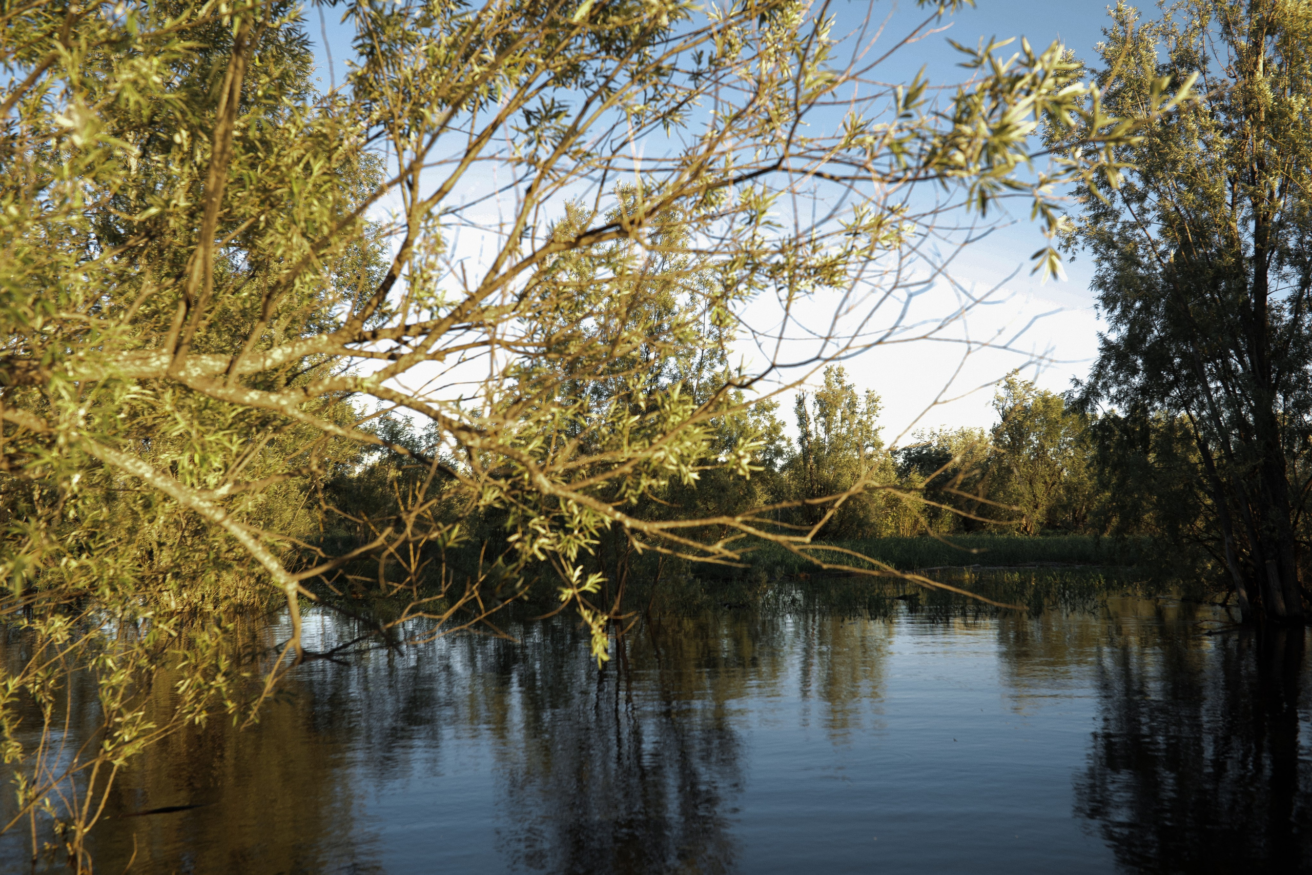 Екатерина. Свадебные фотографы в г. Сургут Маркова Наталья и Замахина Елена