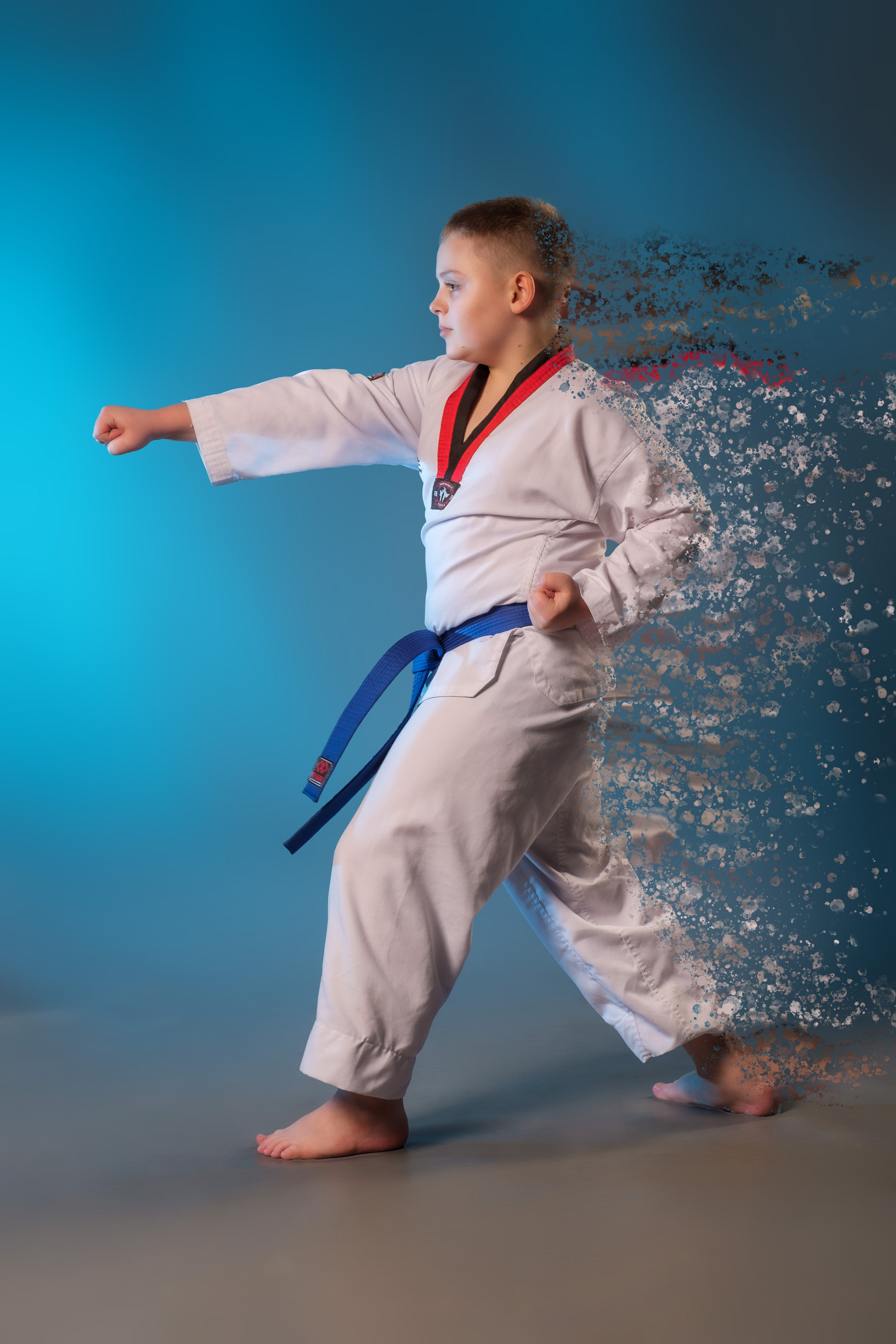 Тхэквондо фото