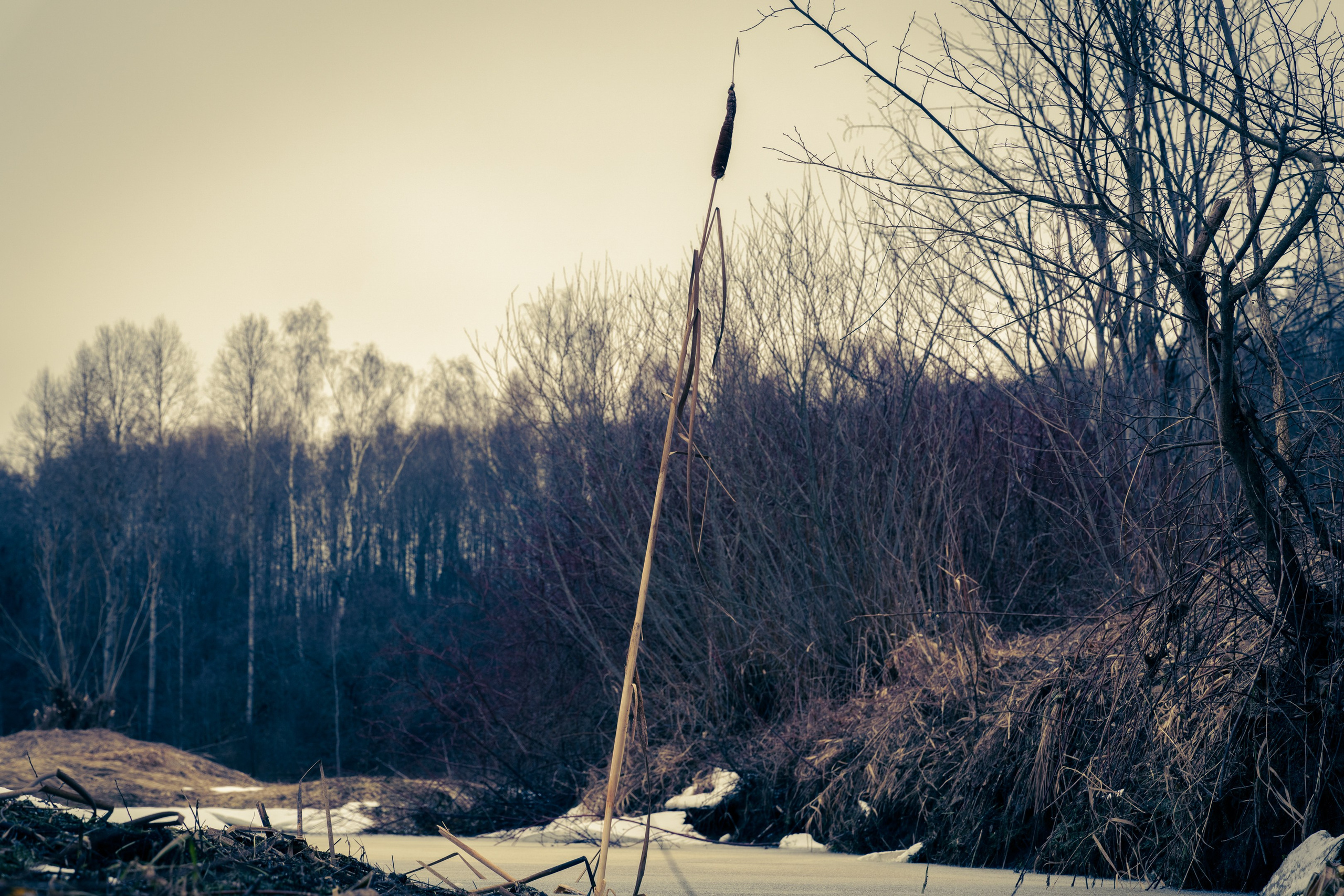 Дача. ПОБУДЬ ЗДЕСЬ И ЦЕЛЕЕ БУДЕТ ЭТОТ МИР