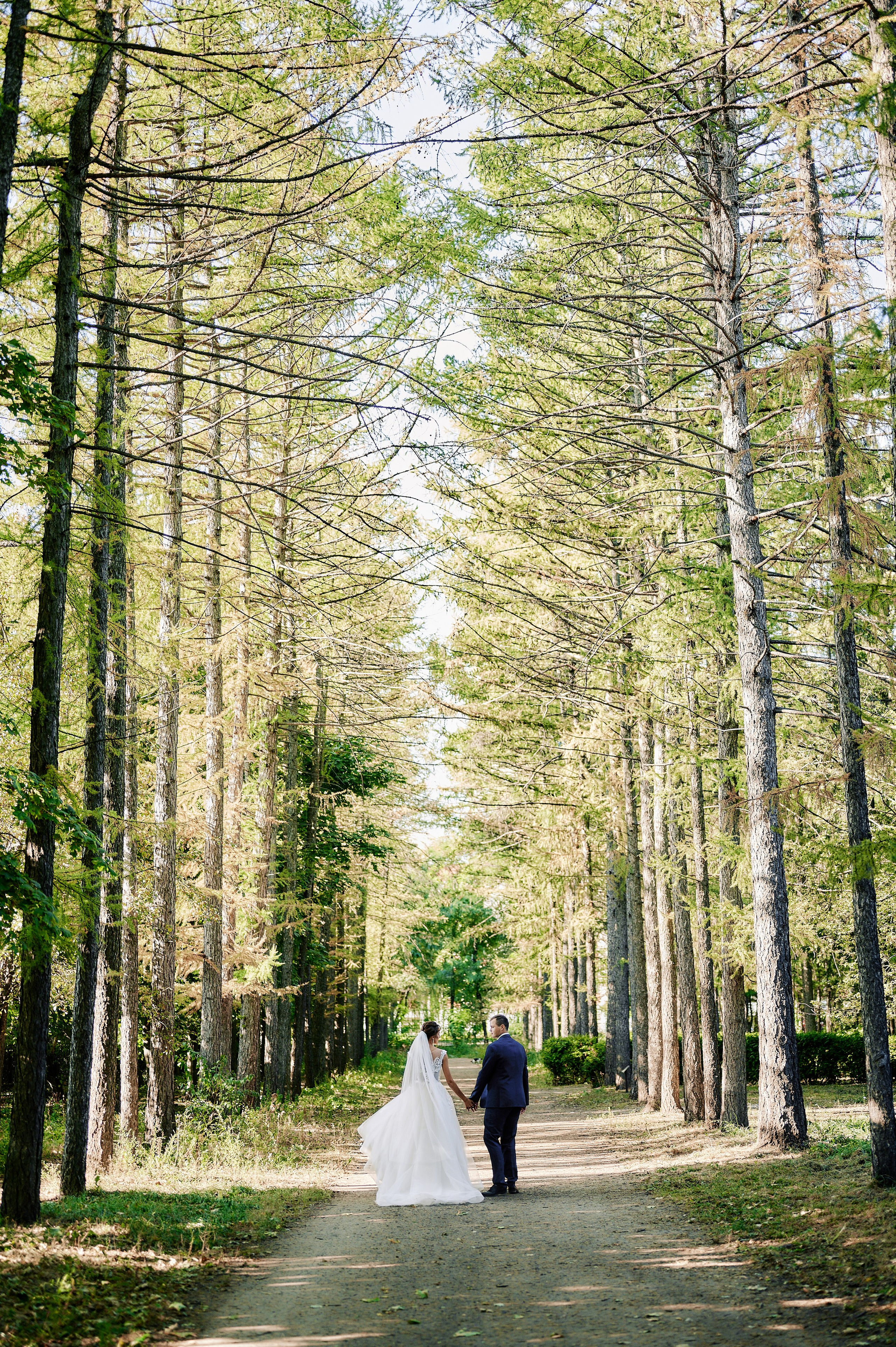 Вера и Игорь. Фото-видеосъемка свадеб Venson Films