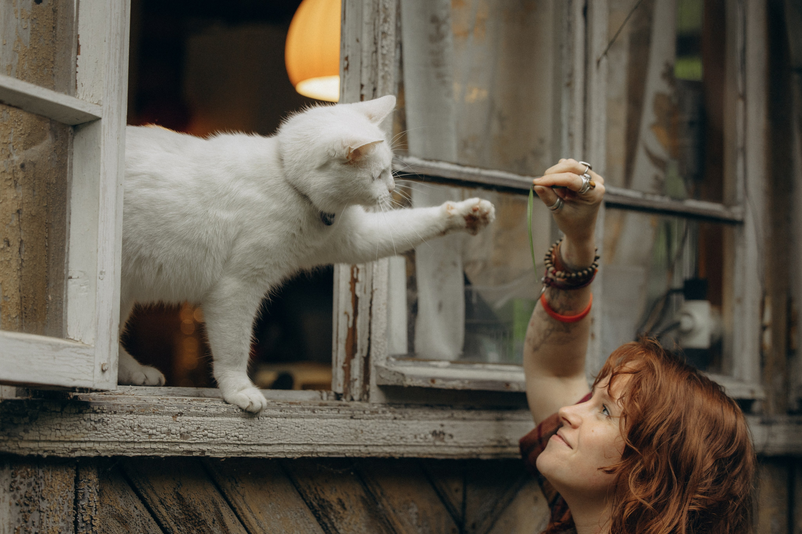 Настасья и кот Шалфей. Фотограф анималист в Казани Алина Сулейманова. Фотограф животных