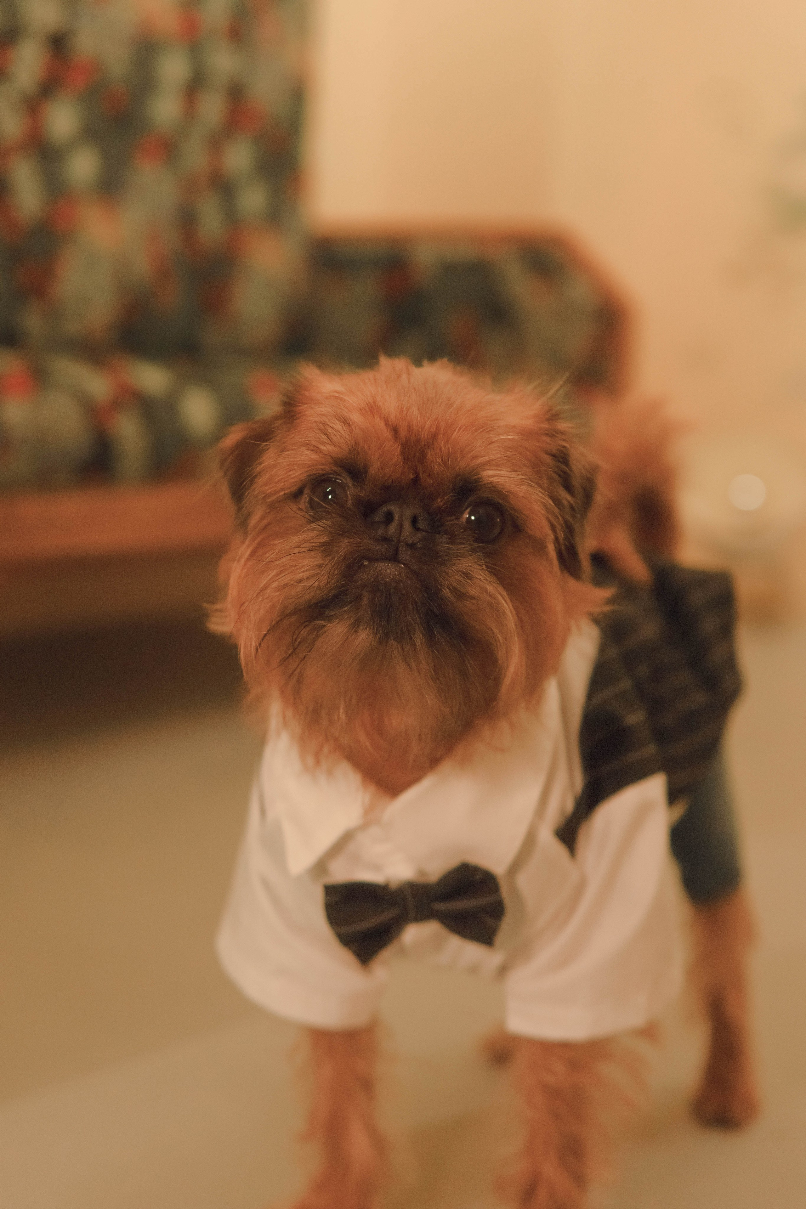 Наташа и Хавьер. Фотограф-анималист Ксения Воробьева, Москва