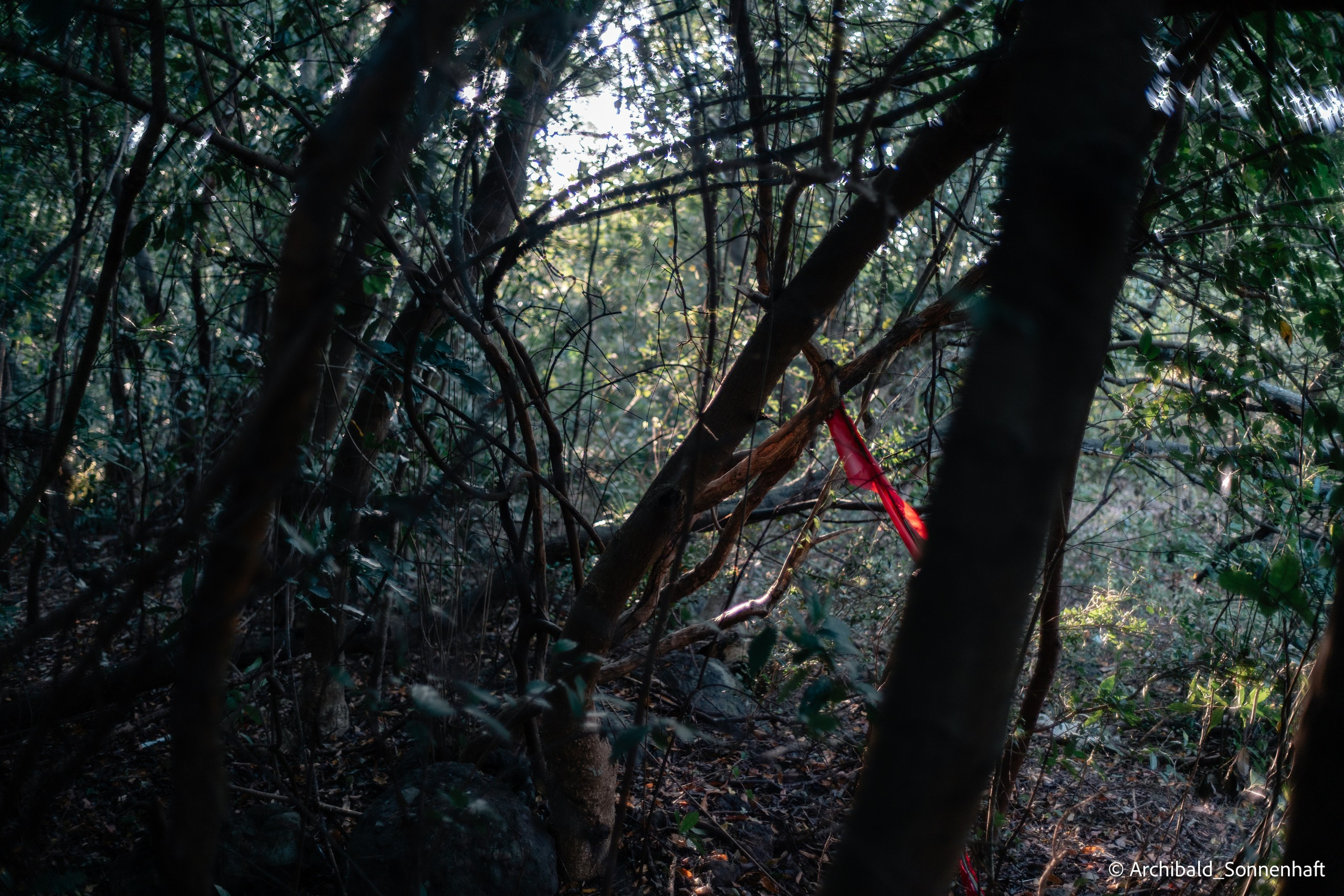 Kayaking in Huizhou, China. Photographer in Guangzhou, China. Archibald Sonnenhaft