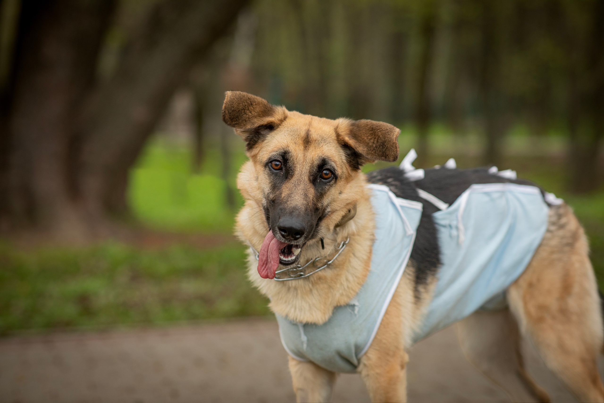 100 забег 5 вёрст Химки. Фотограф Сергей Ловкий