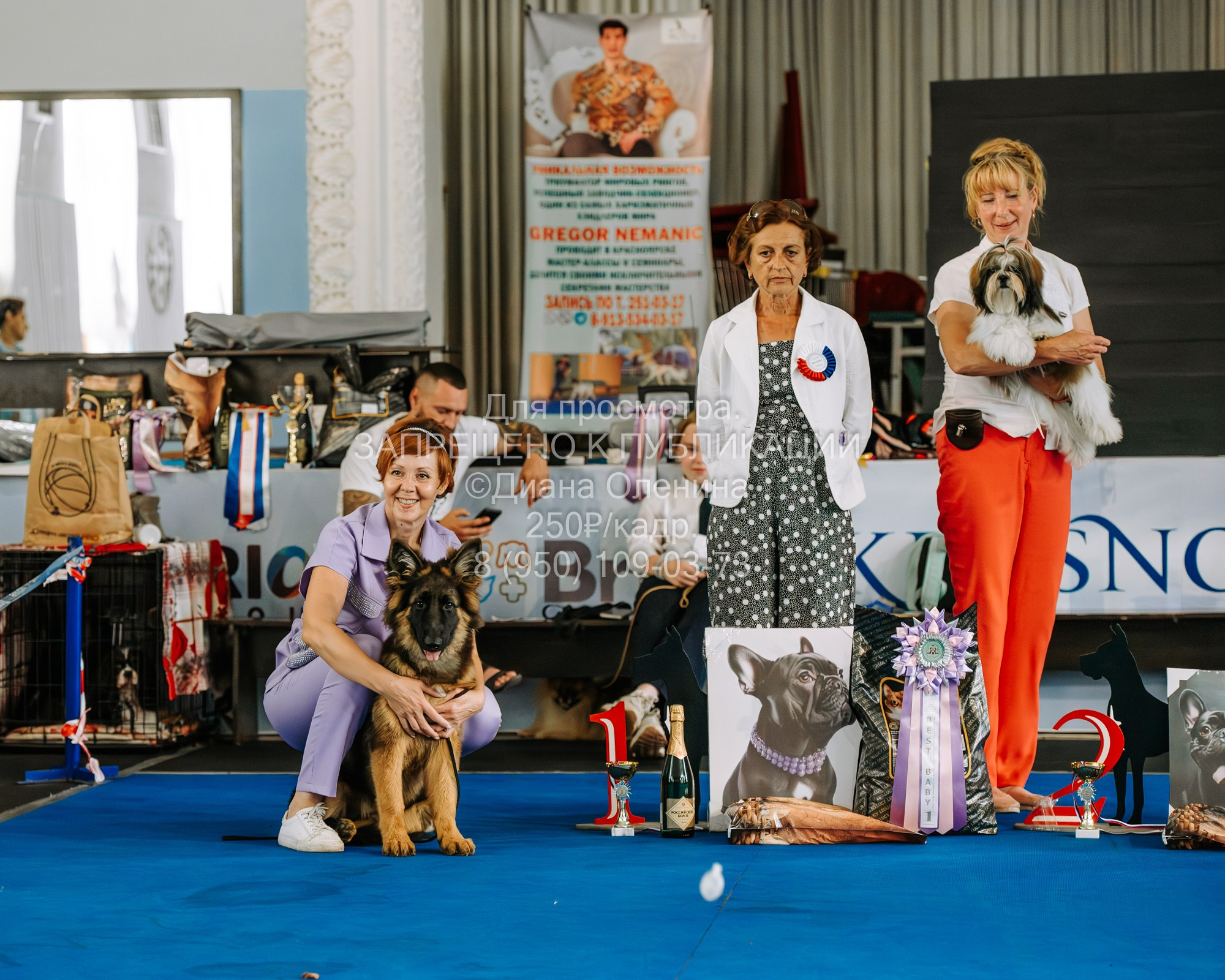 Национальная выставка собак всех пород ранга САС-IKU «Кубок Красноярск. Фотограф Диана Оленина Красноярск / Братск