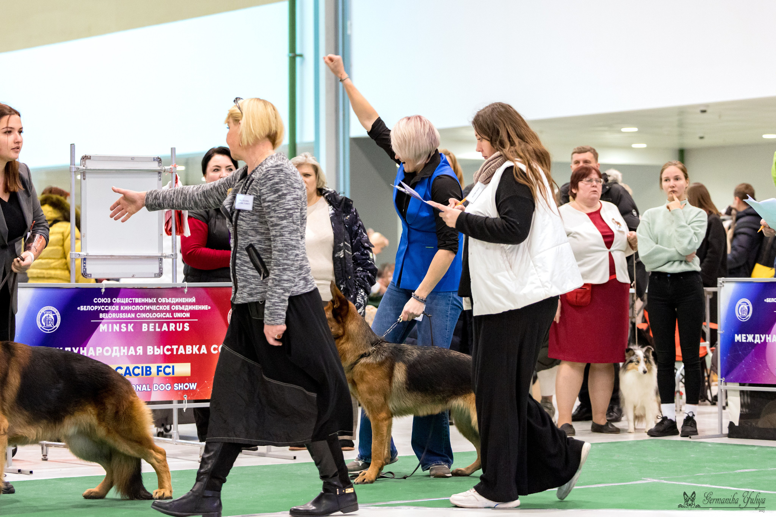 Минск 25-26.11.2023. Фотограф-анималист Юлия Германика