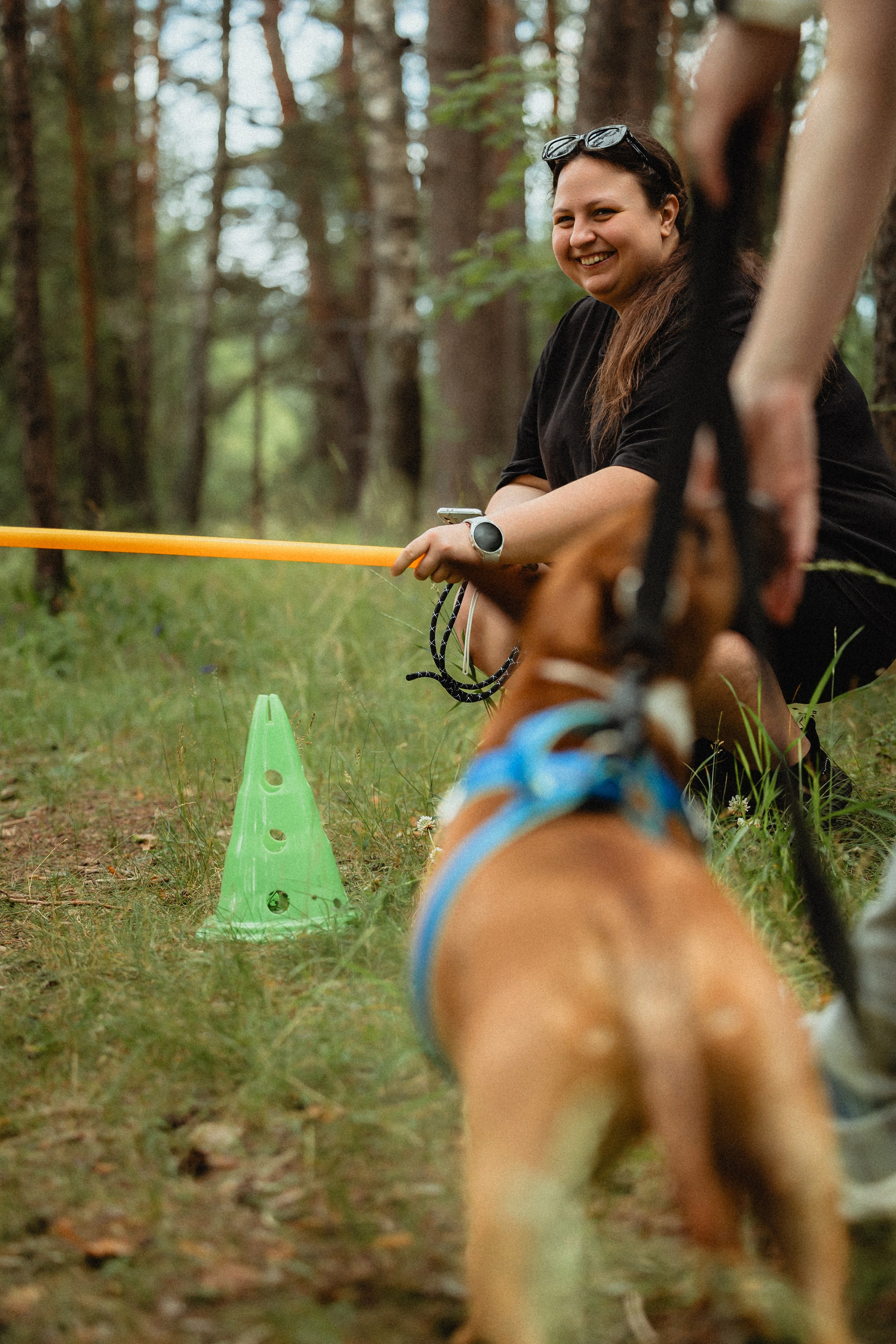 Выездной дог-тренинг от школы «Шерсть имею»