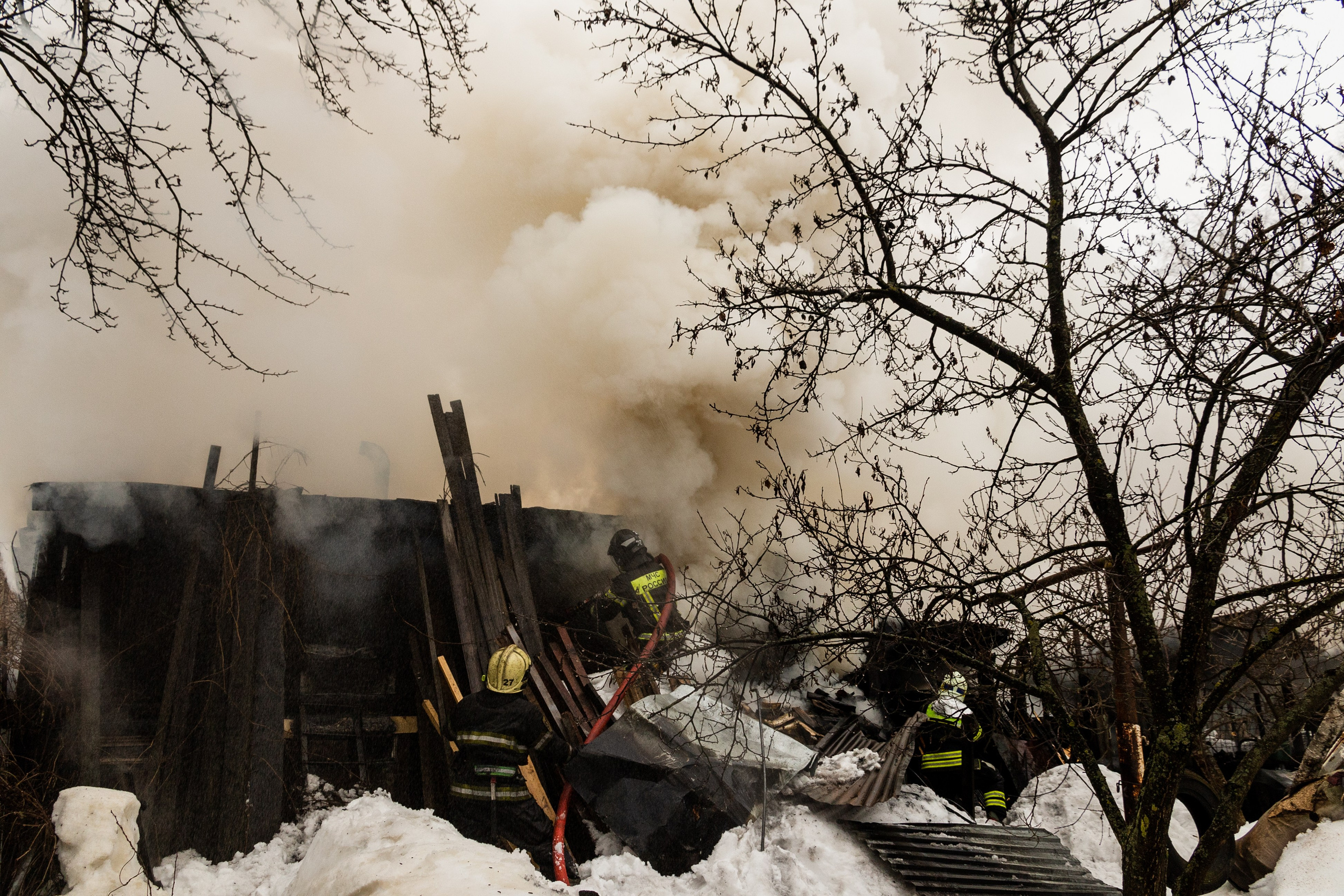 Часть. DASHA KALNINA