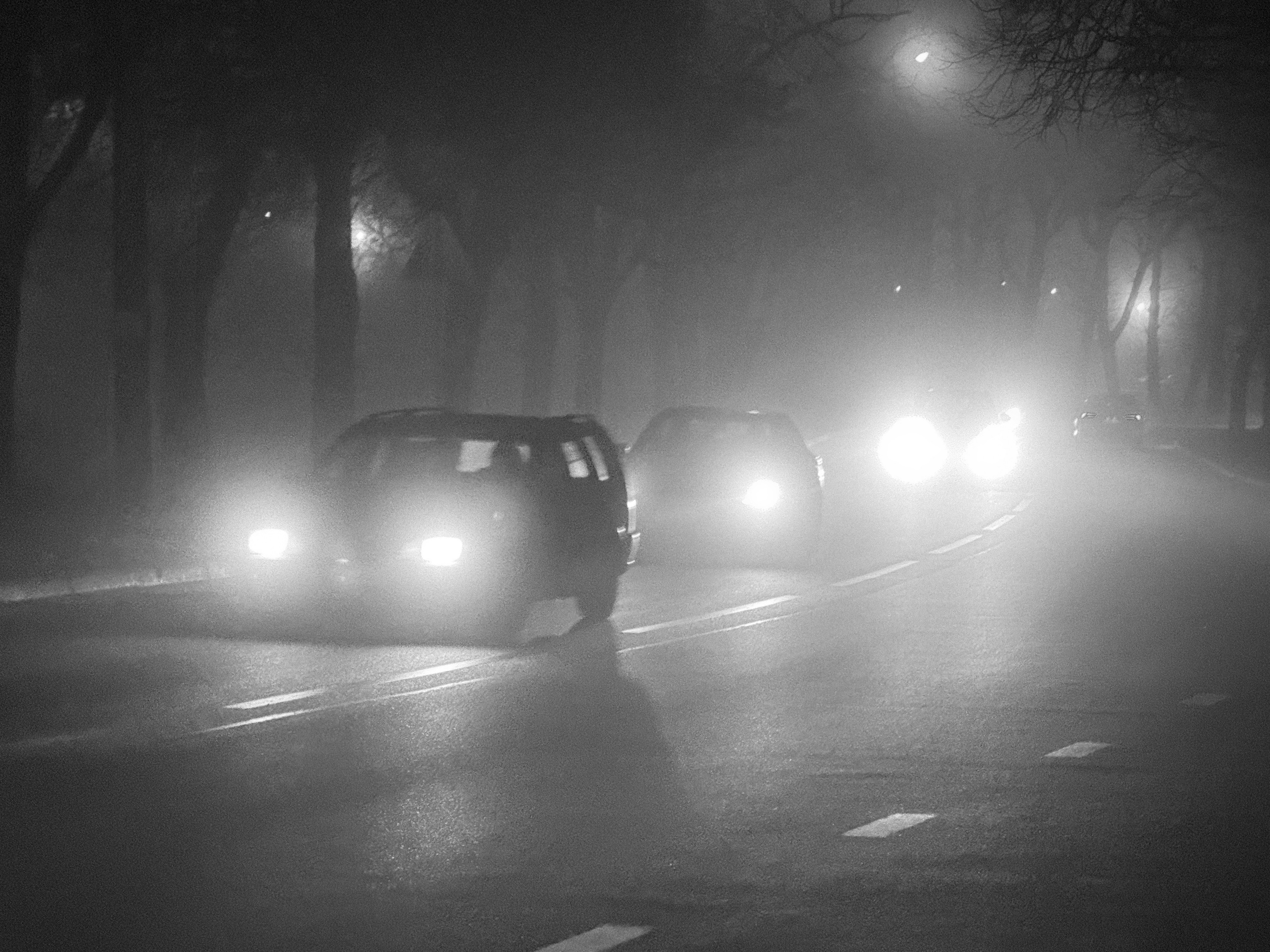 Фотограф Антон Швец — Монохромная реальность