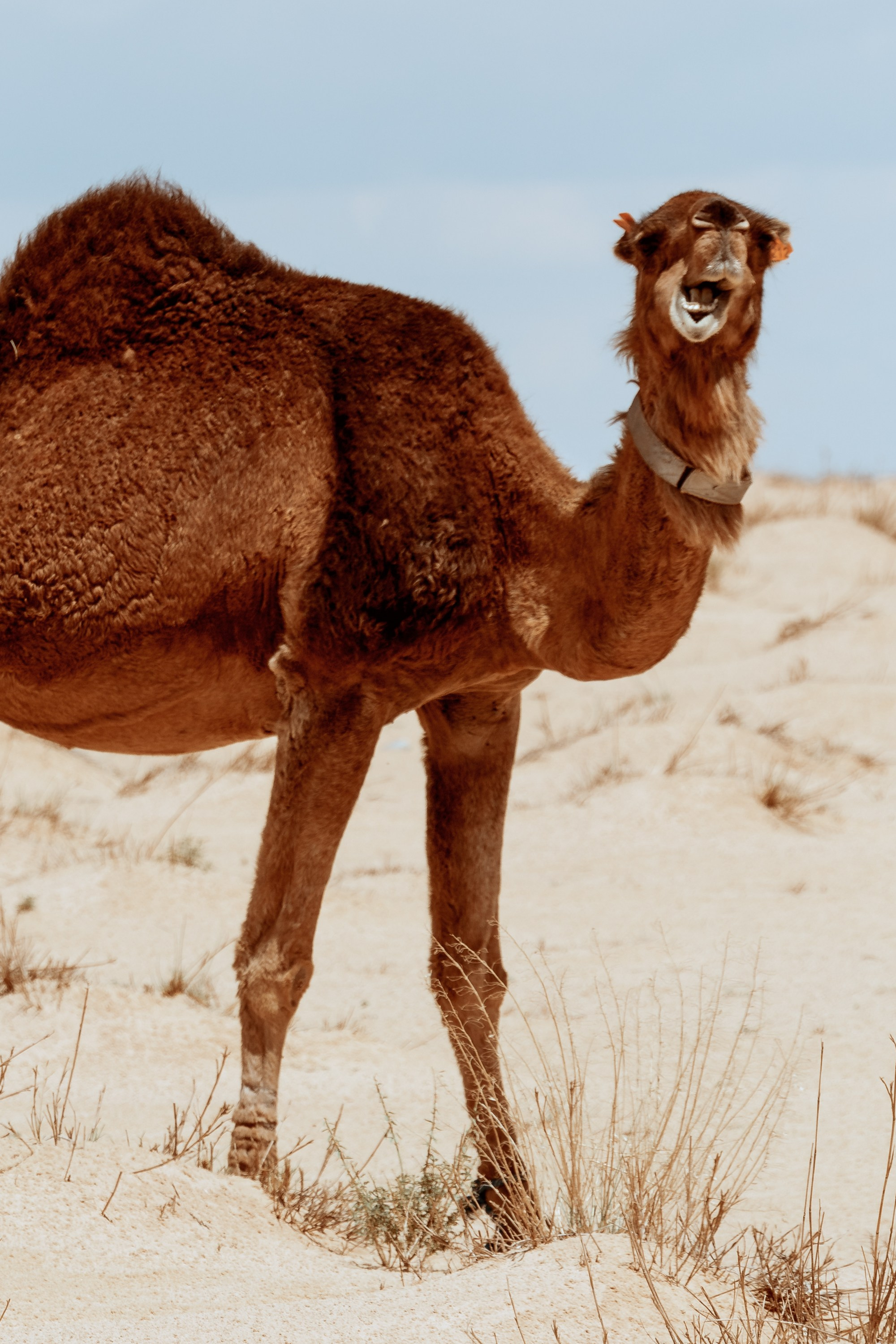 Путешествия. Фотограф в Хабаровске. Фотография за 24 часа