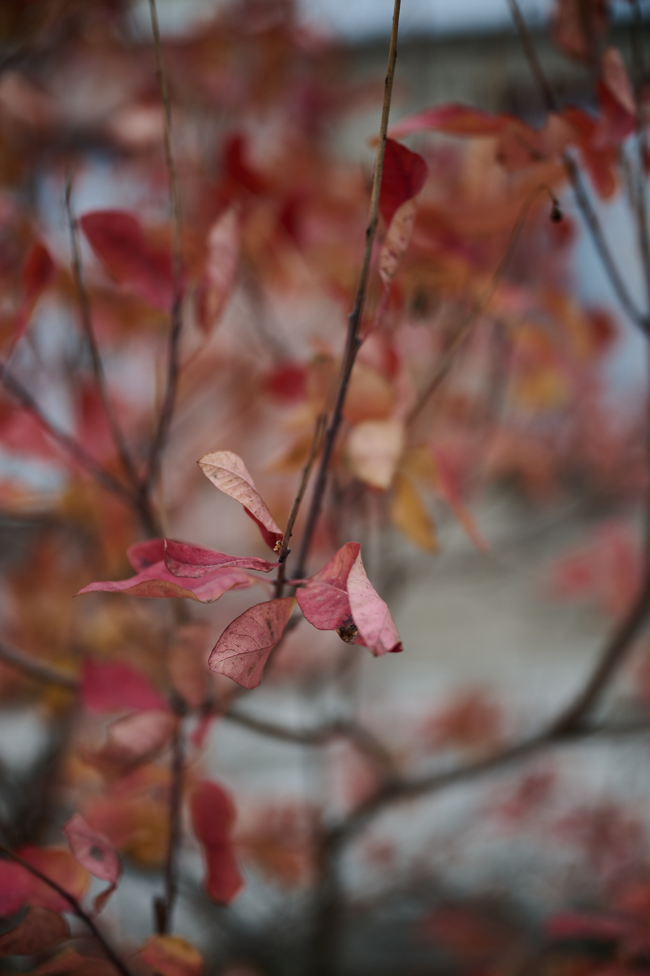 Рубежное. Луганская область. Фотопроект «Территории»