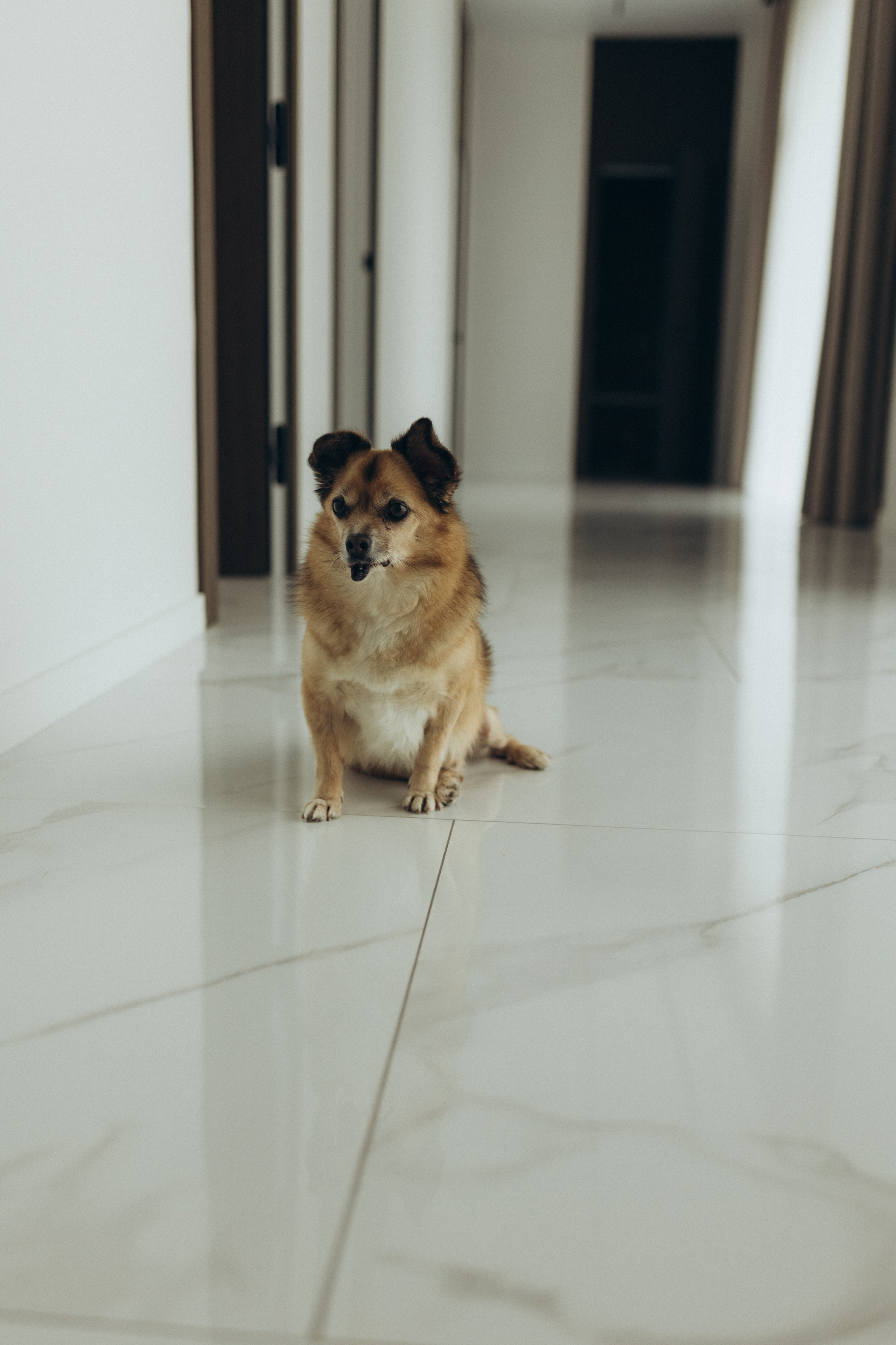 Настюша. Фотограф из Петербурга