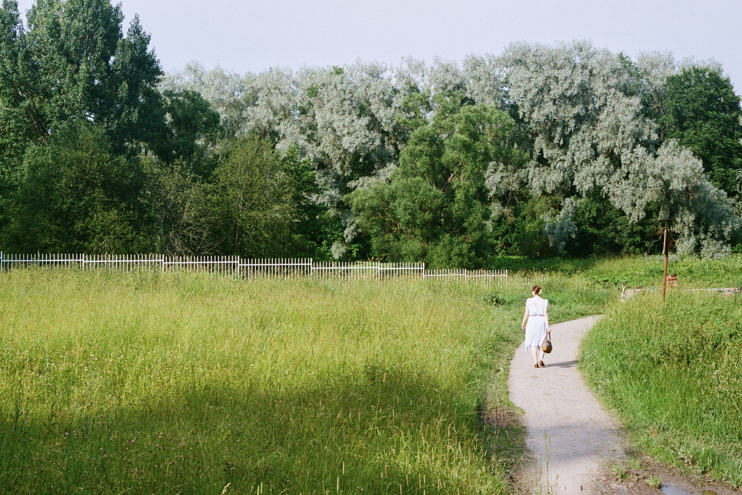 городской пейзаж. уличная фотография. александровский парк