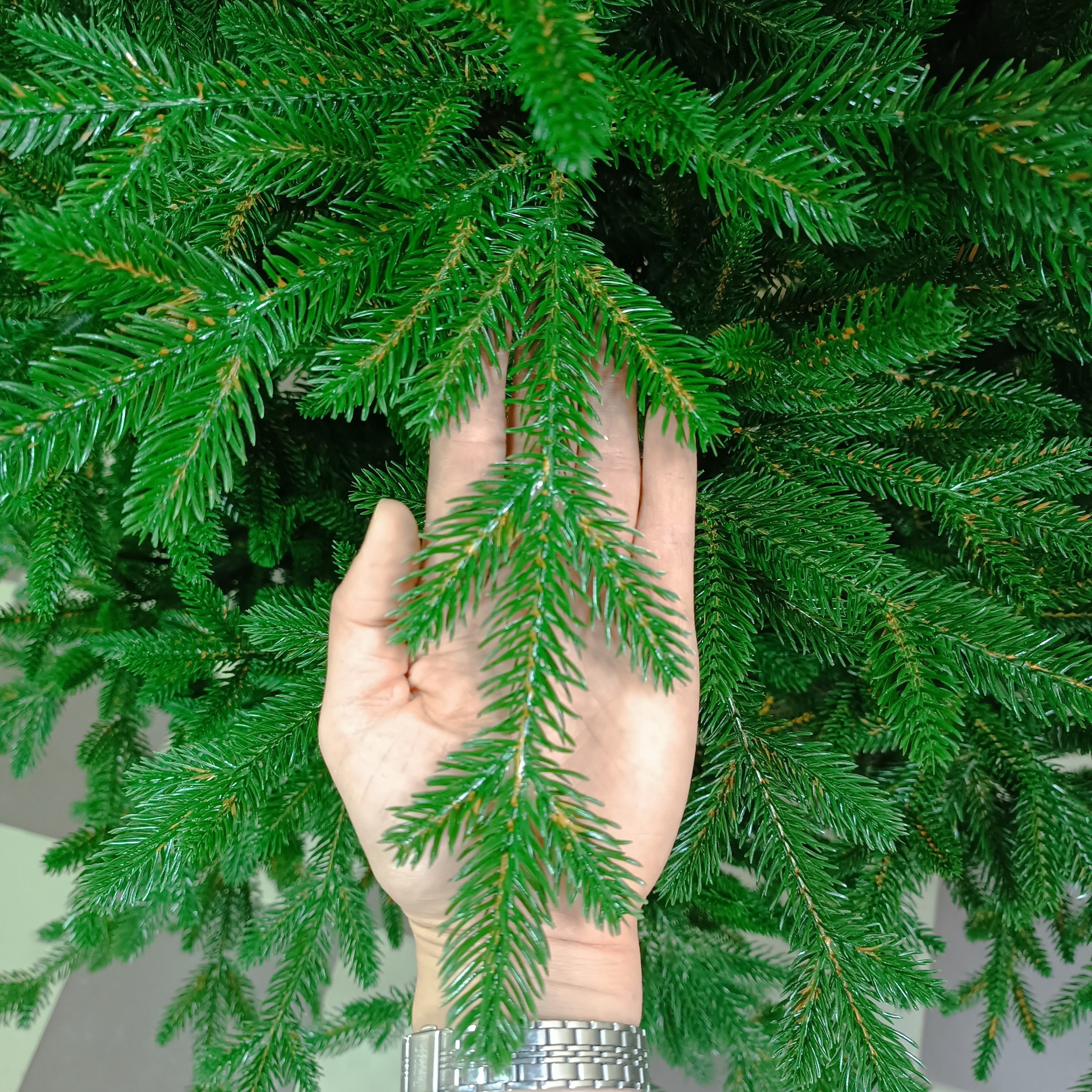 ВЕРСАЛЬ премиум. Elki_grodno