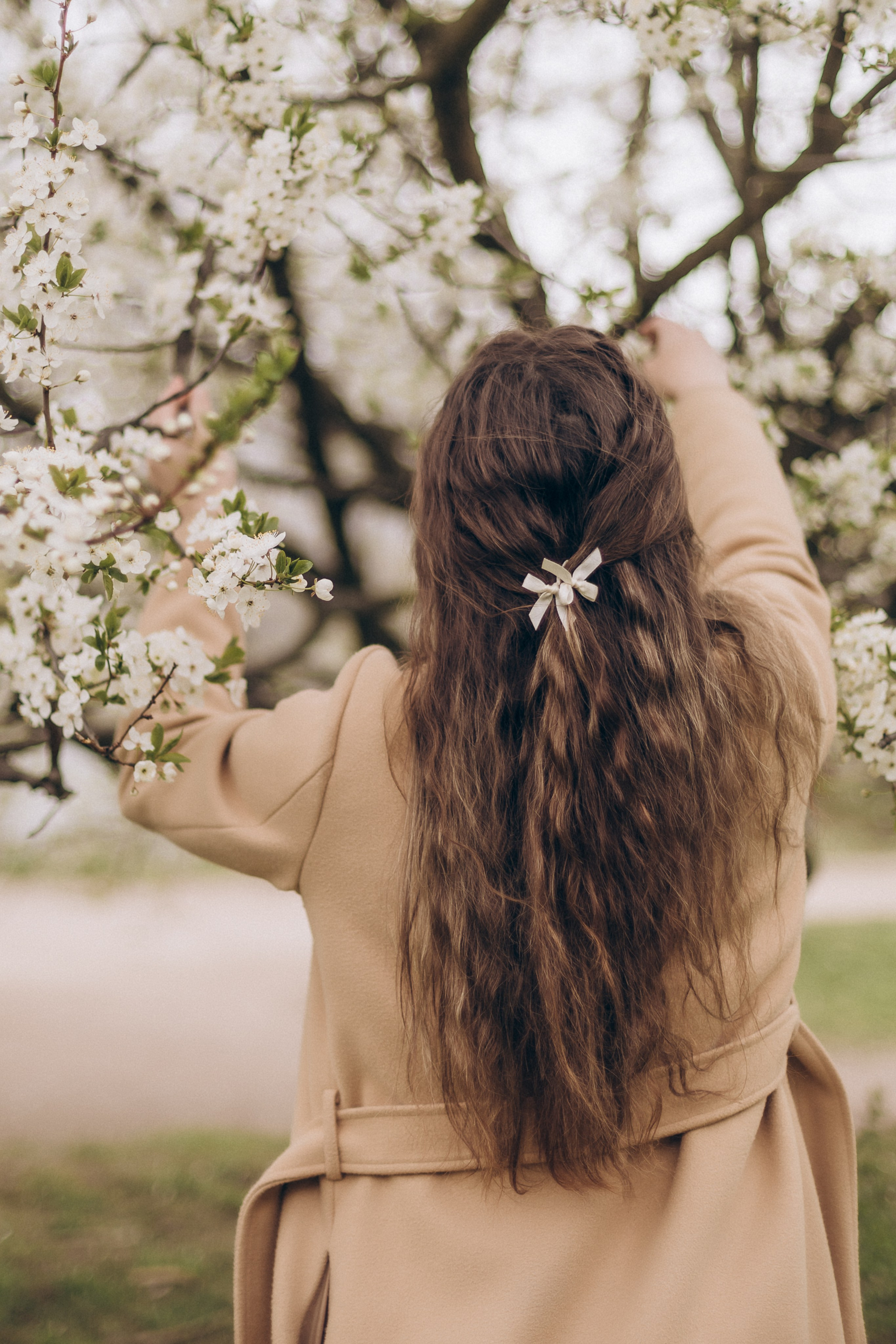 Ксения-Яблоня