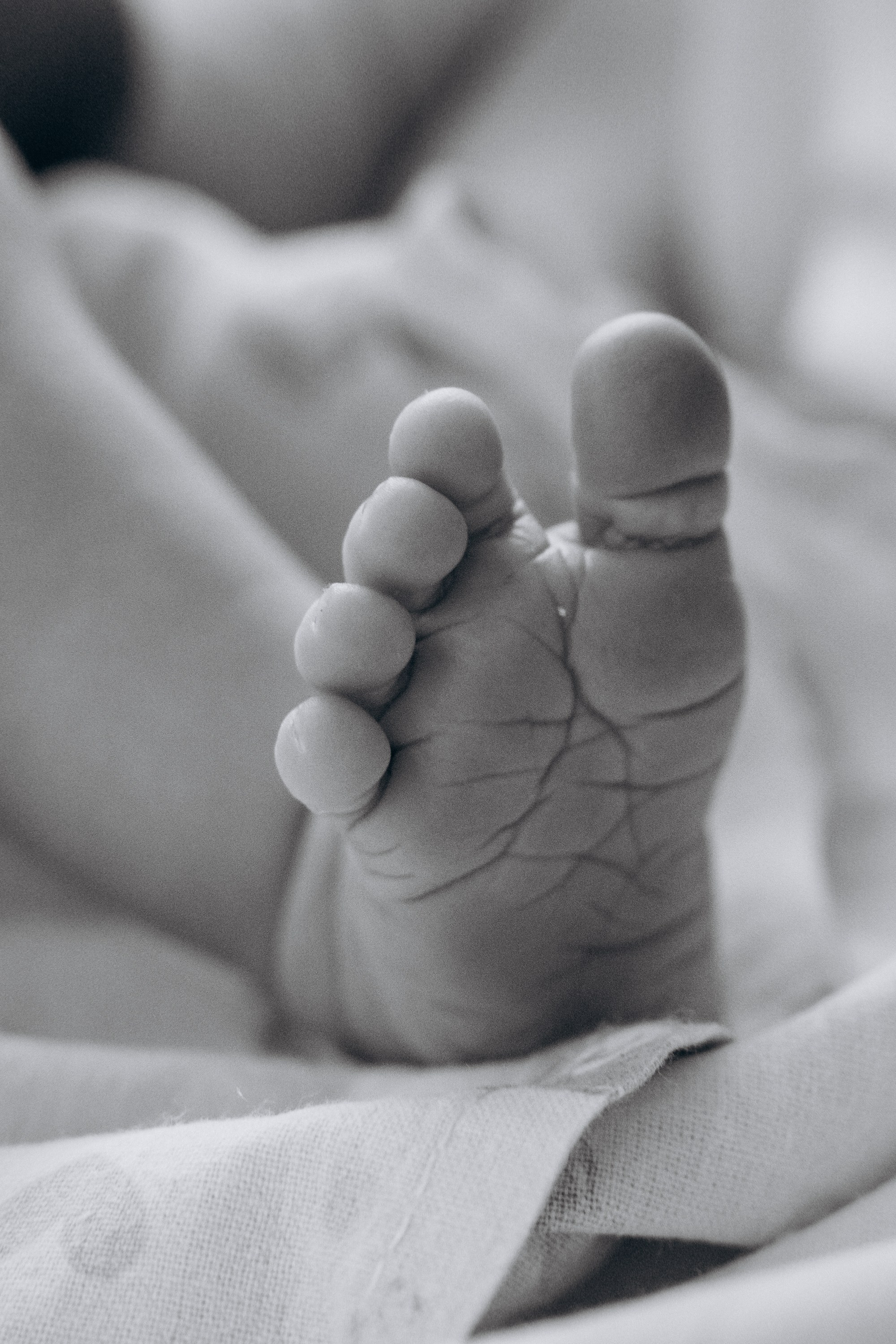 Фотограф на роды в Москве. Фотограф на роды в Москве Алла Rockymouse