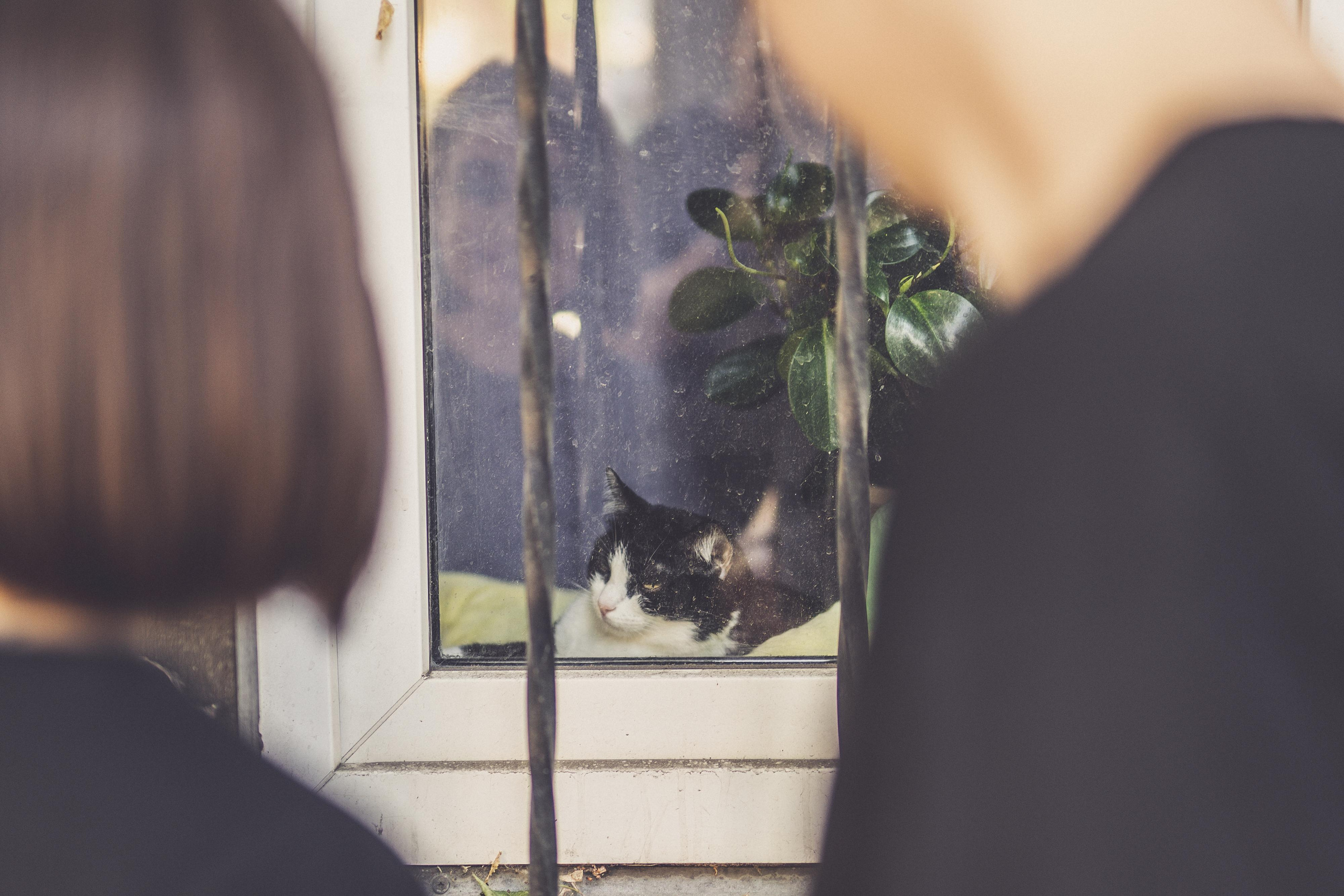 Евгений и Яна. Фотограф Денис Булавин