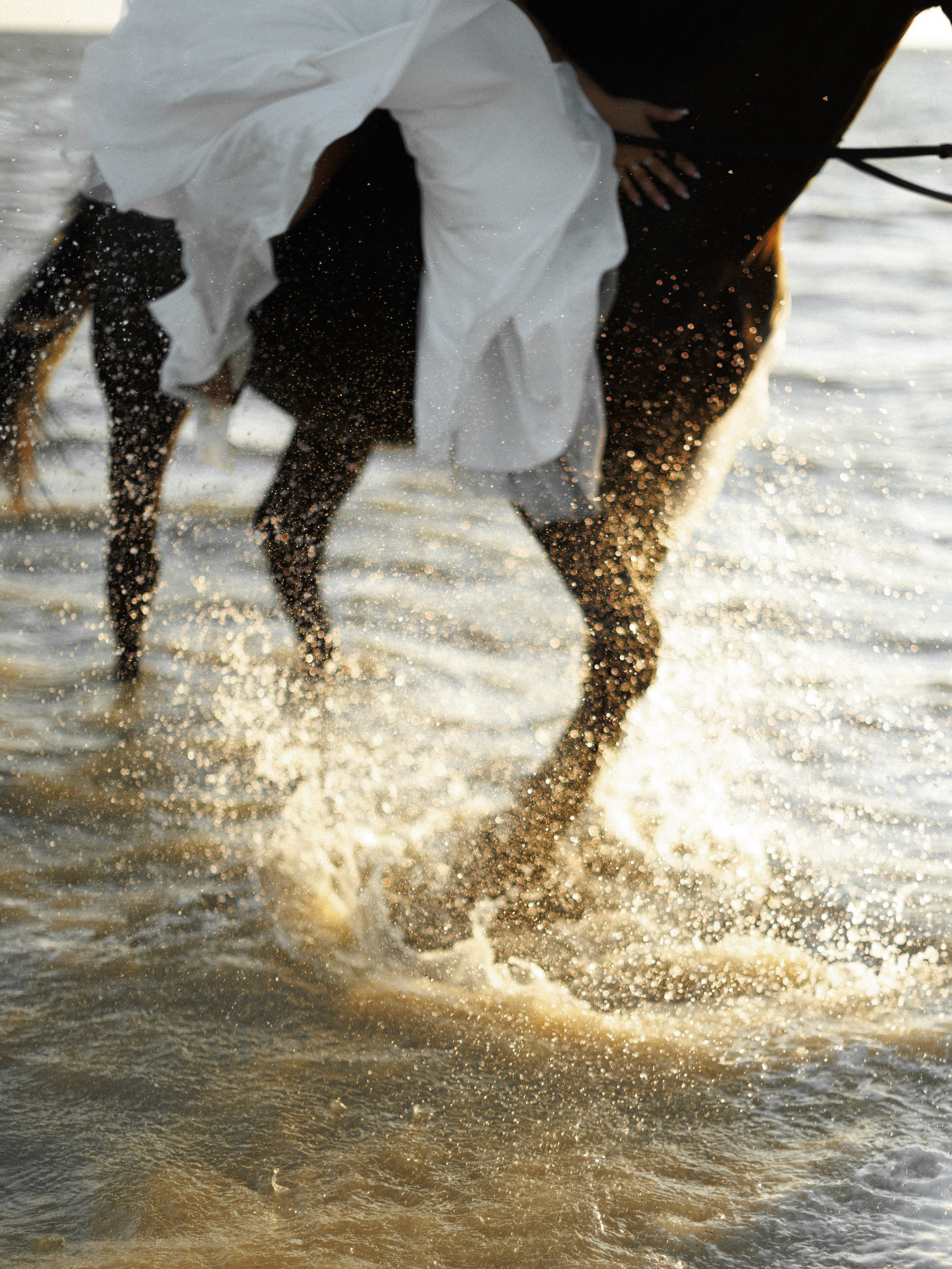 Николай&Анастасия. Свадебный и семейный фотограф в Таганроге и Ростове Руднева Анастасия