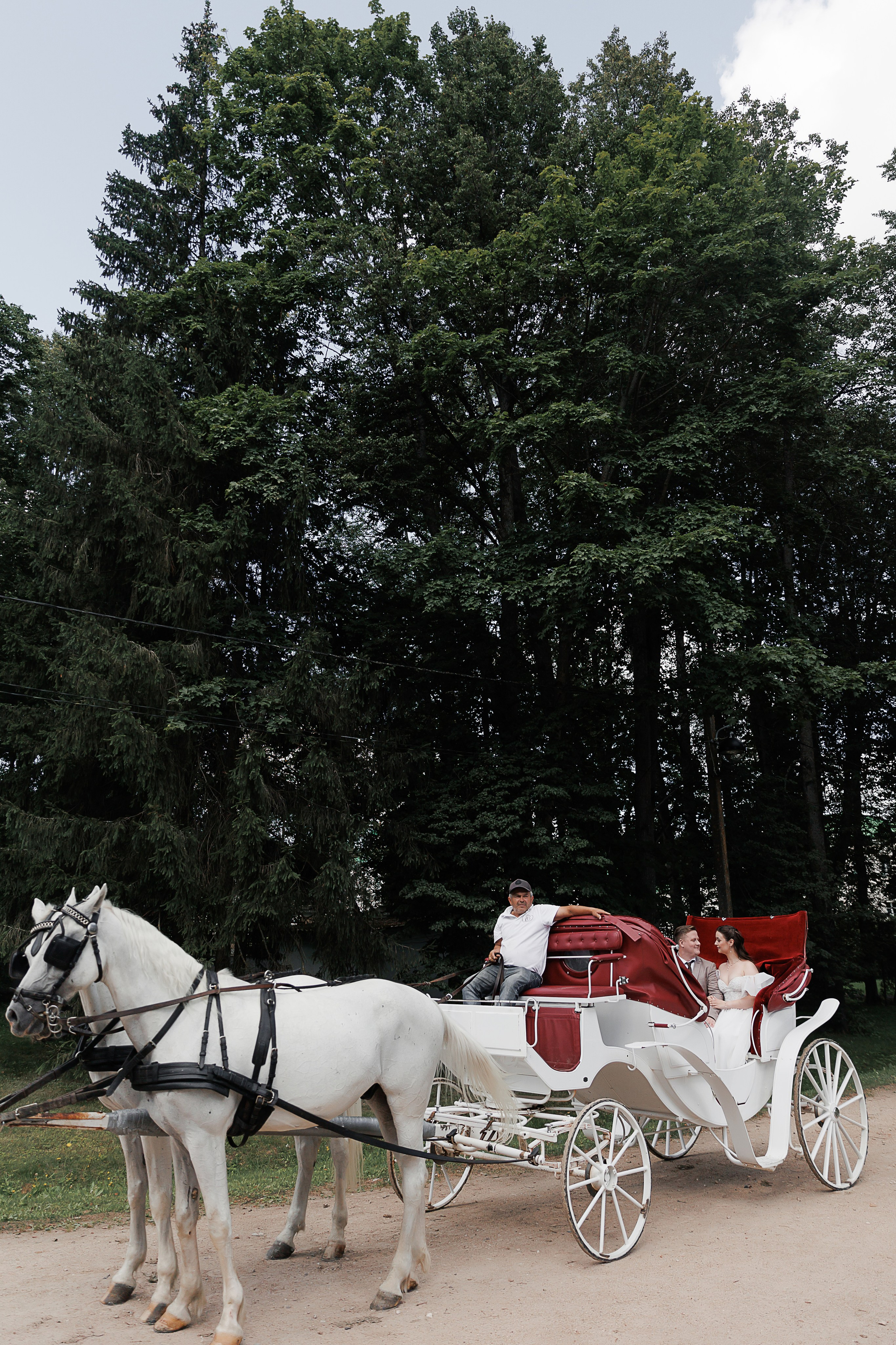 Свадьба Дмитрия и Анны. Свадебный и семейный фотограф в Твери и Тверской области
