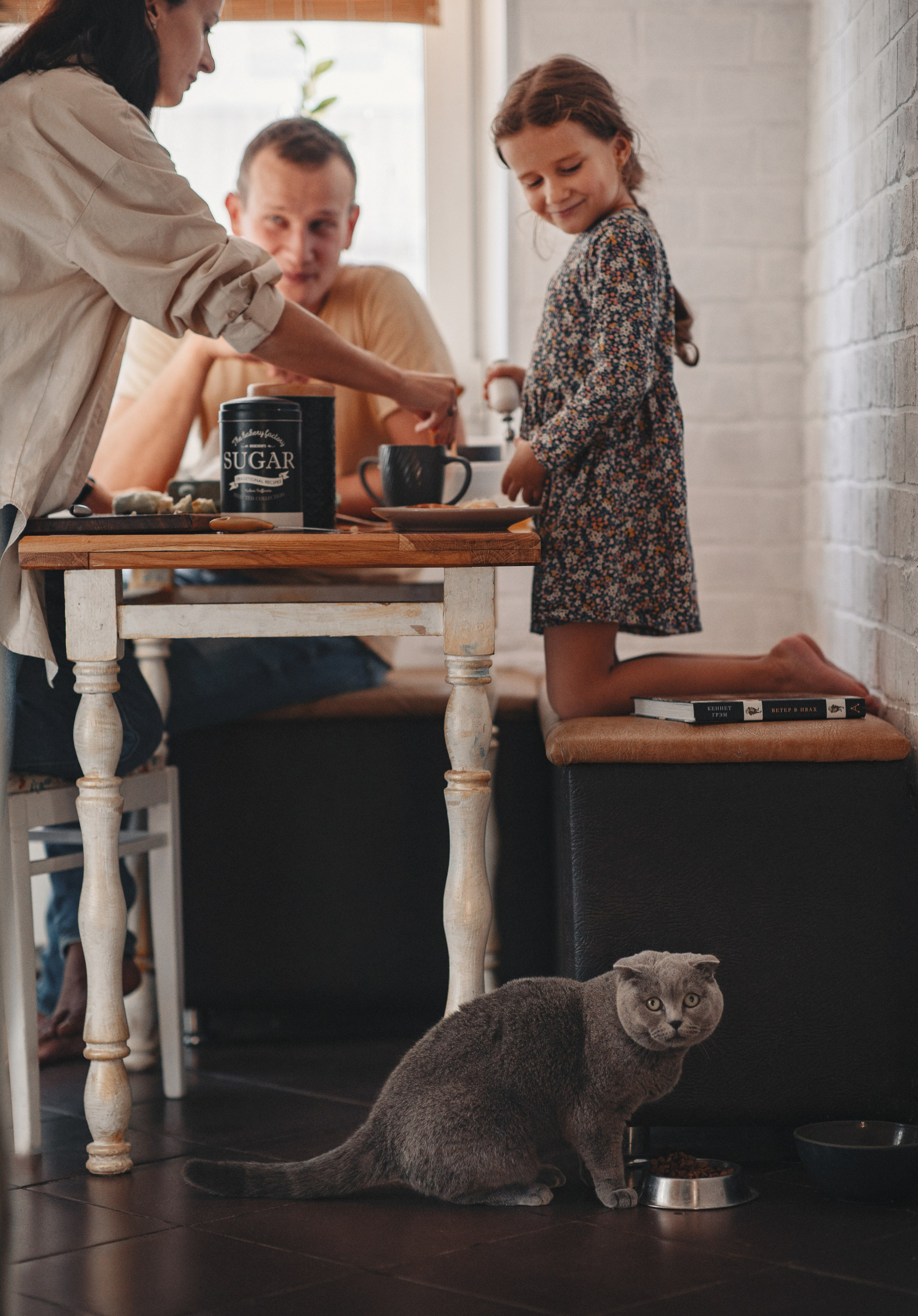 Тарасенко ДОМА. Семейный и детский фотограф |Брянск| Анастасия Перепелкина