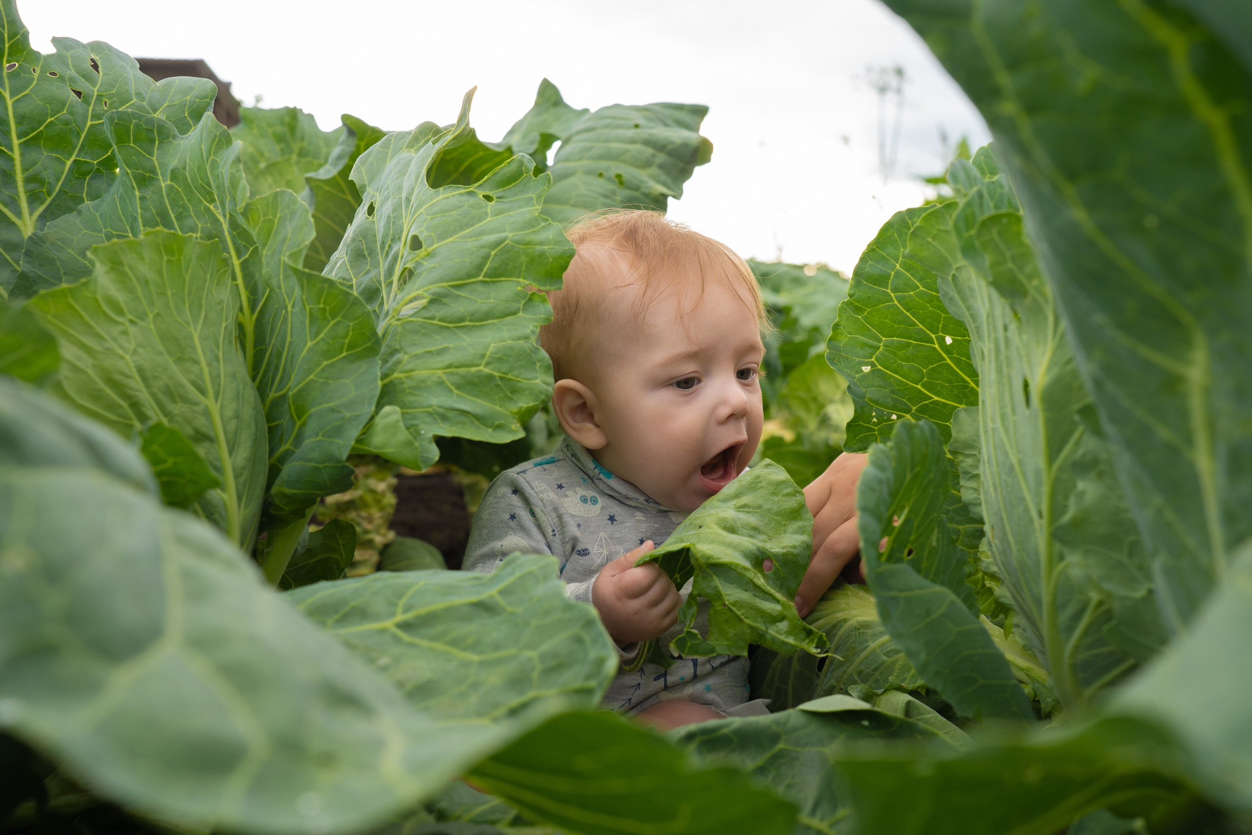 Лена, Илья и Егор. Видеограф Омск Павел Серобабов