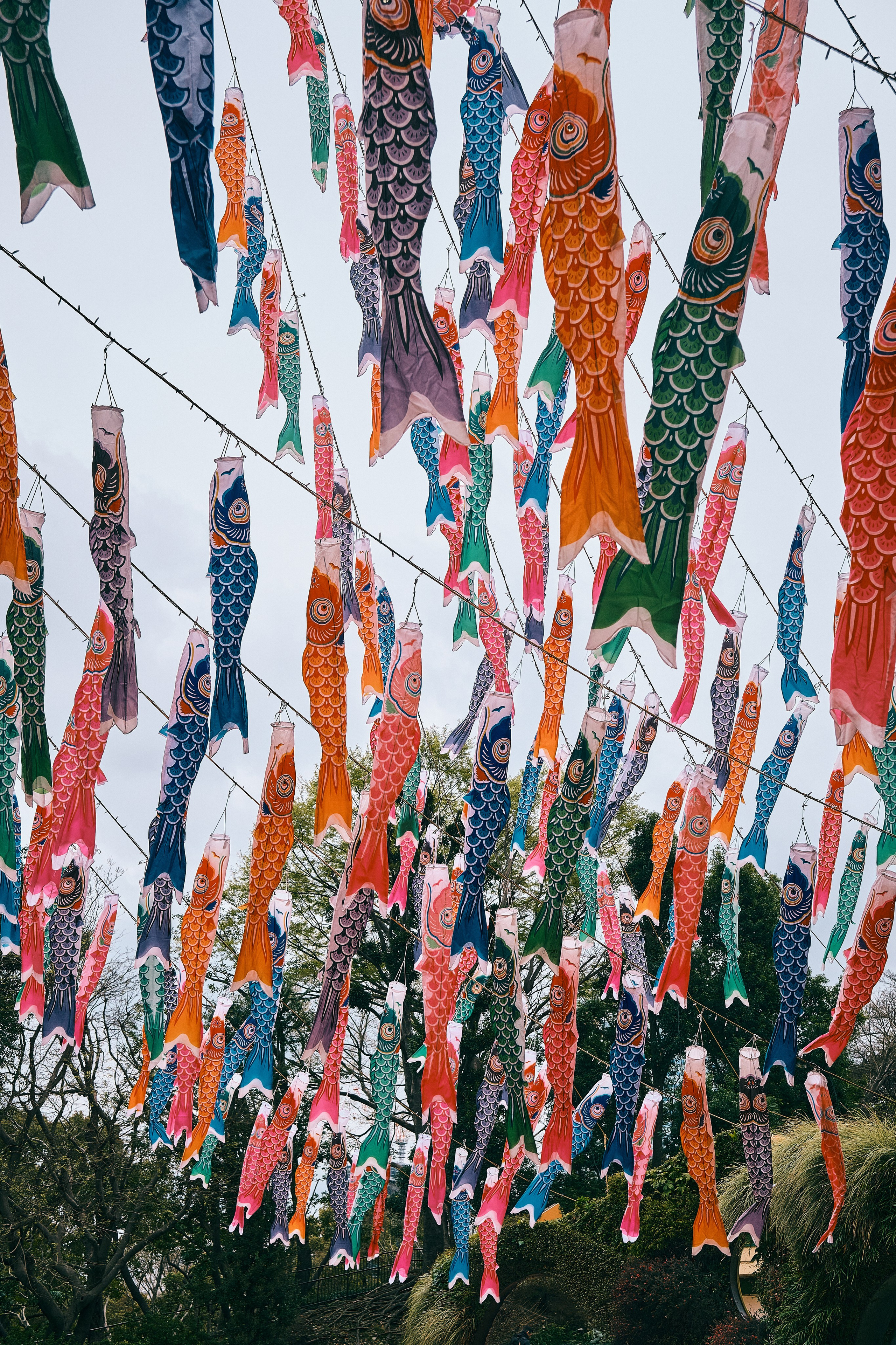 Japan / Osaka≫Kyoto≫Tokyo. Aleksandr Kobtsev