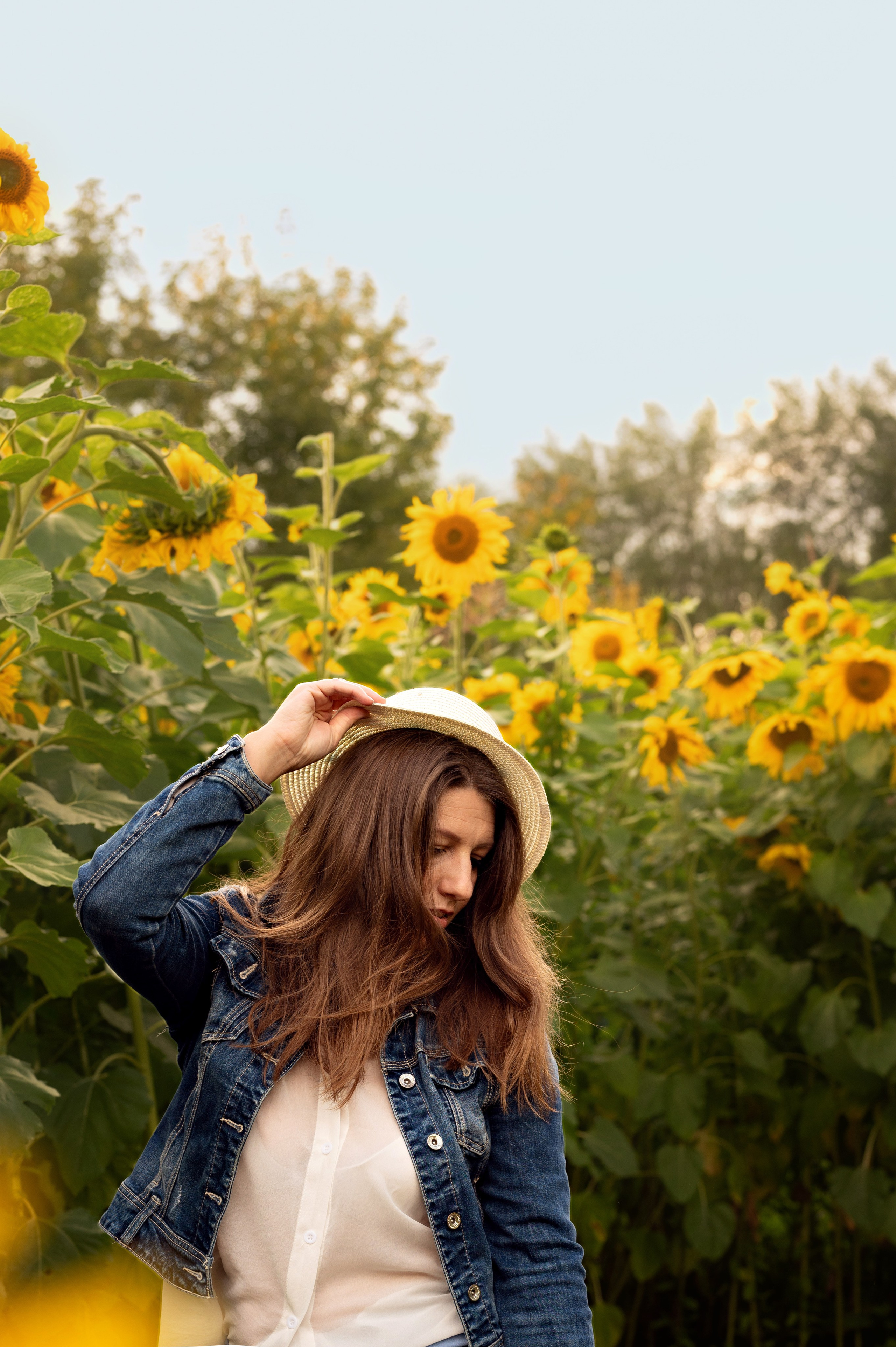 Подсолнухи. Фотограф новорожденных, семейный детский в Тюмени Татьяна Морозова