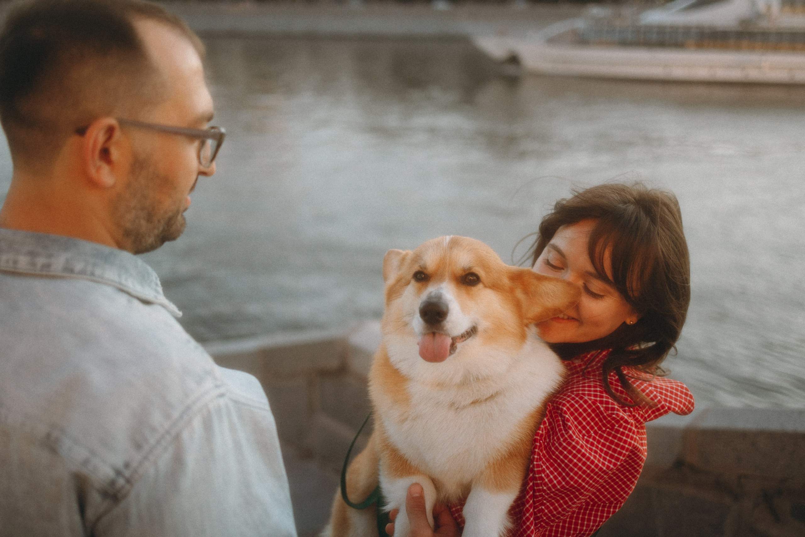 Момо, Люда и Эд. Фотограф анималист Анастасия Пикей