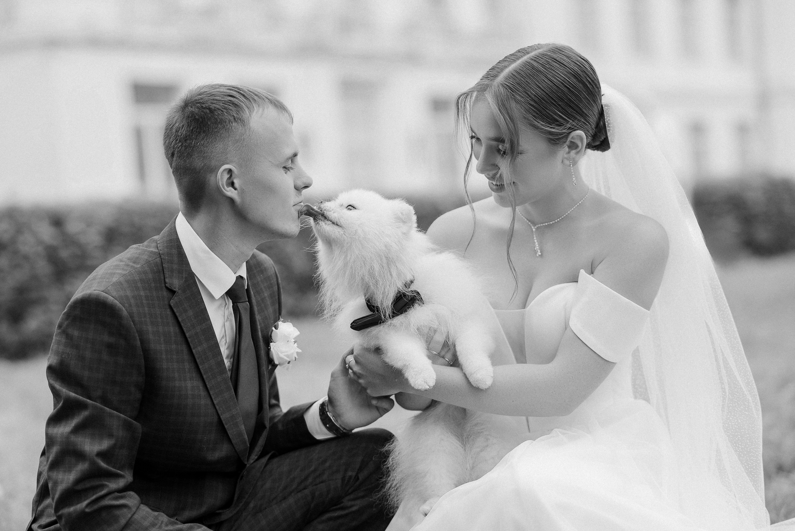 Стоимость. Фотограф в Кемерово Жанна Шмаль