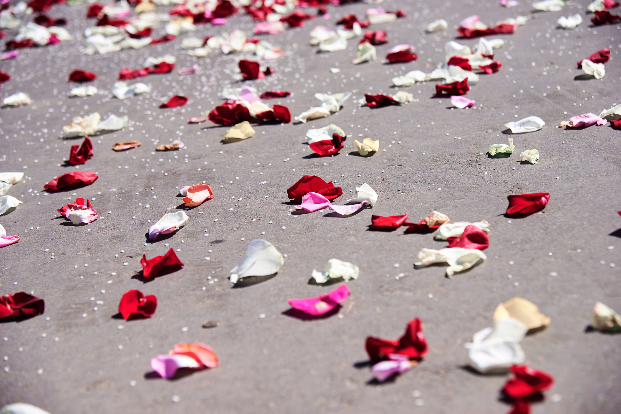 Свадебная фотосъемка на ВДНХ. Свадебный фотограф в Москве Станислав Донченко