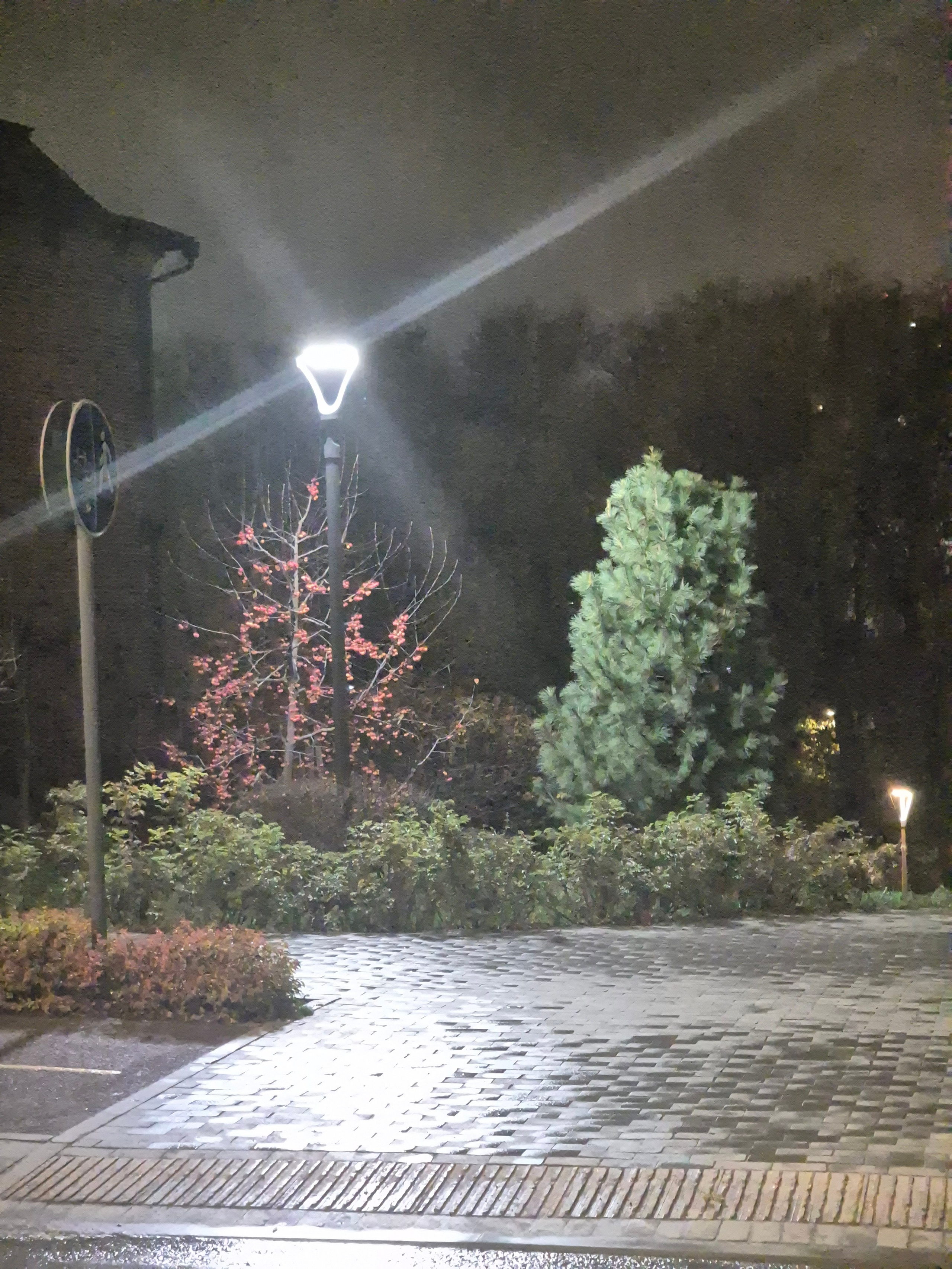 Ночь, фонарь...