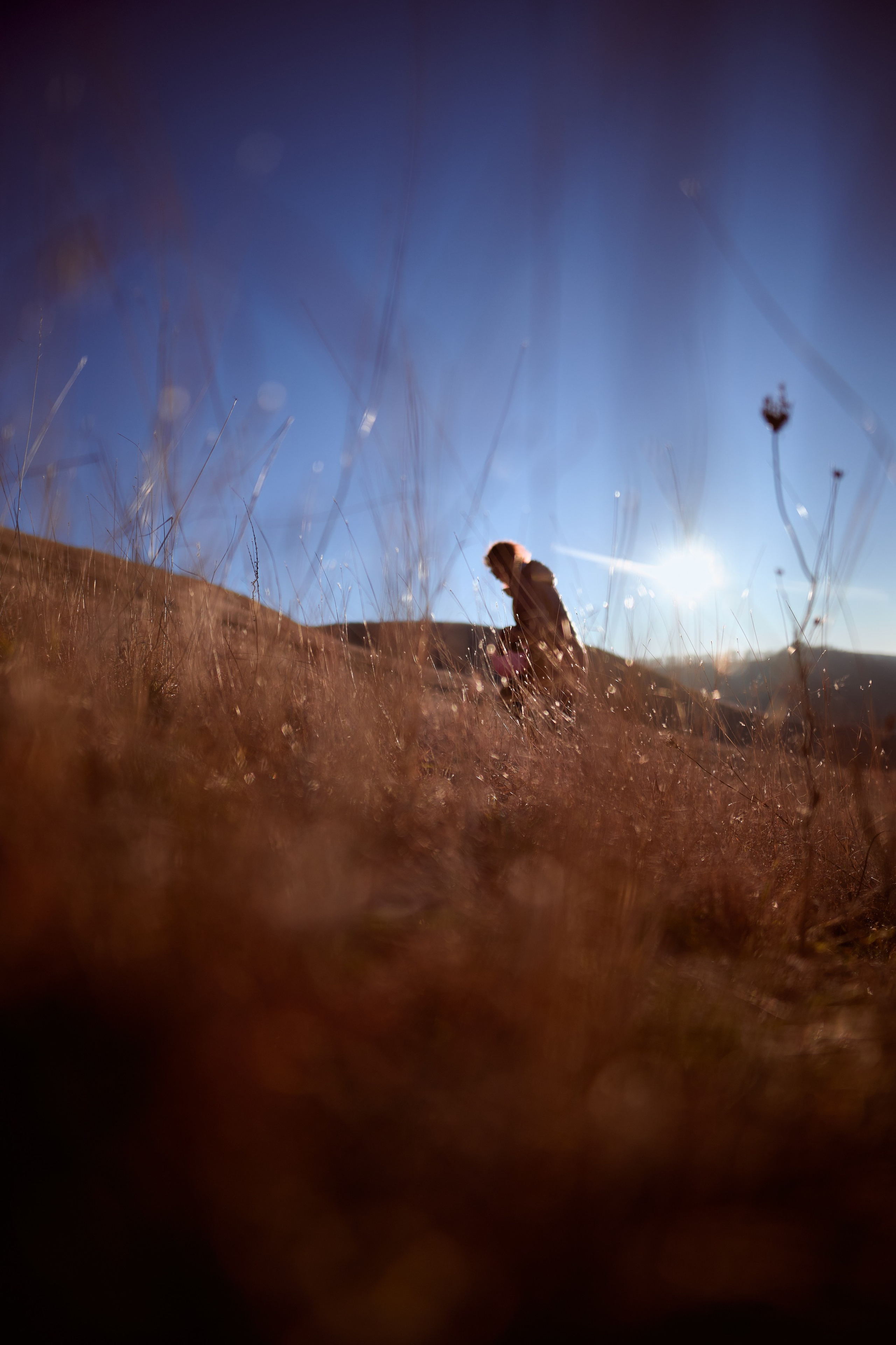 Параплан, Армавир. Репортажный фотограф в Краснодаре, Иван Ванюшенков