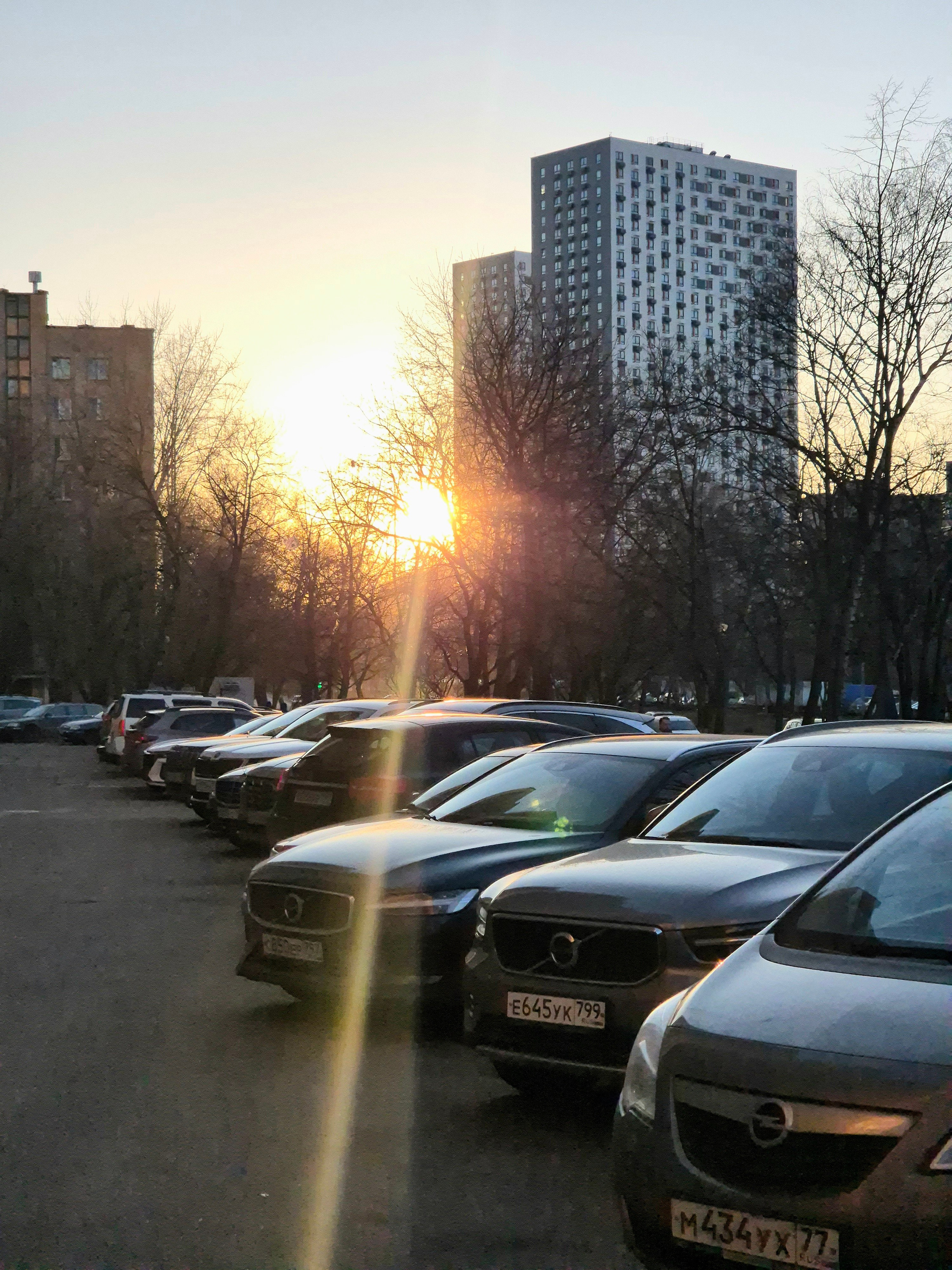 Для снятия волнения перед ночным стартом на 10 км прогулялись вечером в Сокольниках