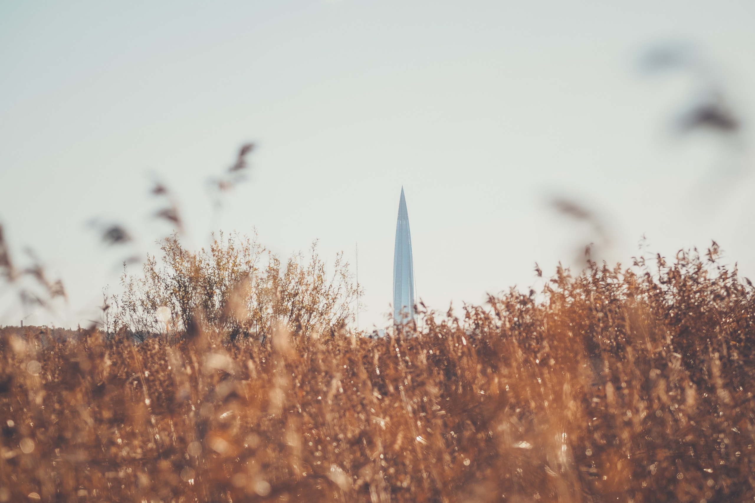 Сестрорецк. Свадебный фотограф Копков Геннадий
