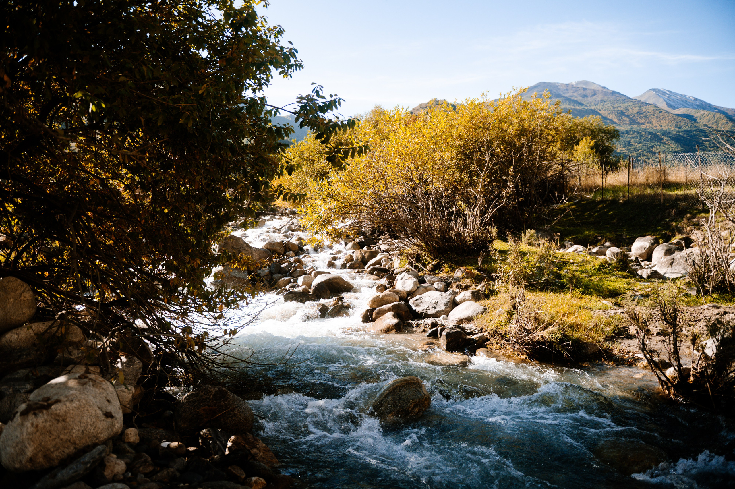 Выездные проекты. Сайт фотографа Данилы Пащенко