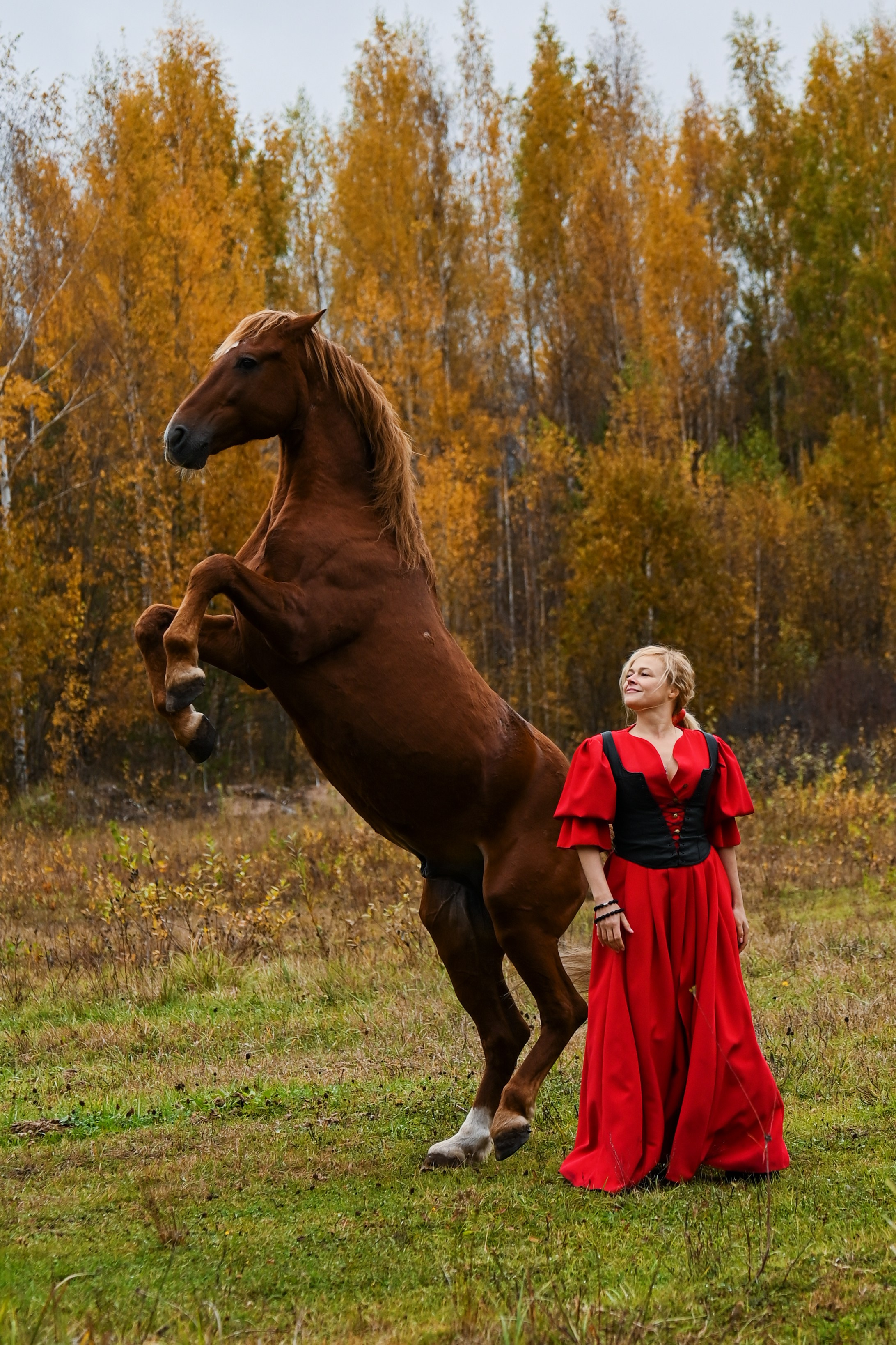 Конные портреты. Фотограф Зноева Ирина (Gvenya)