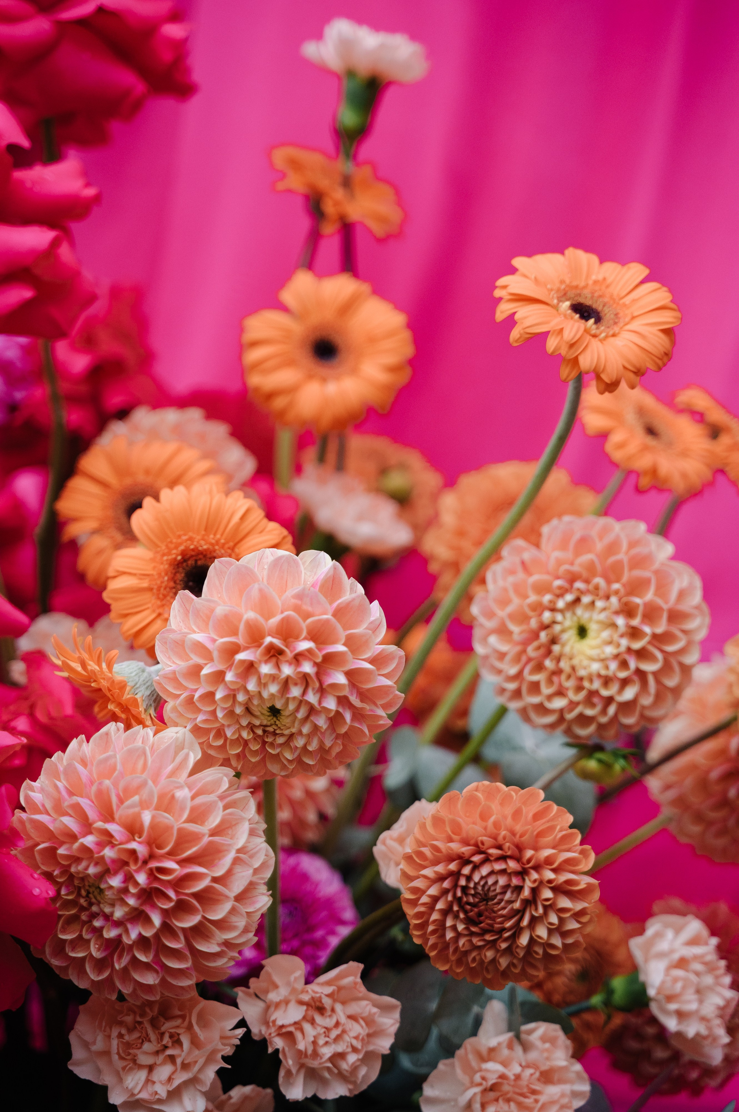 Антонина и Егор