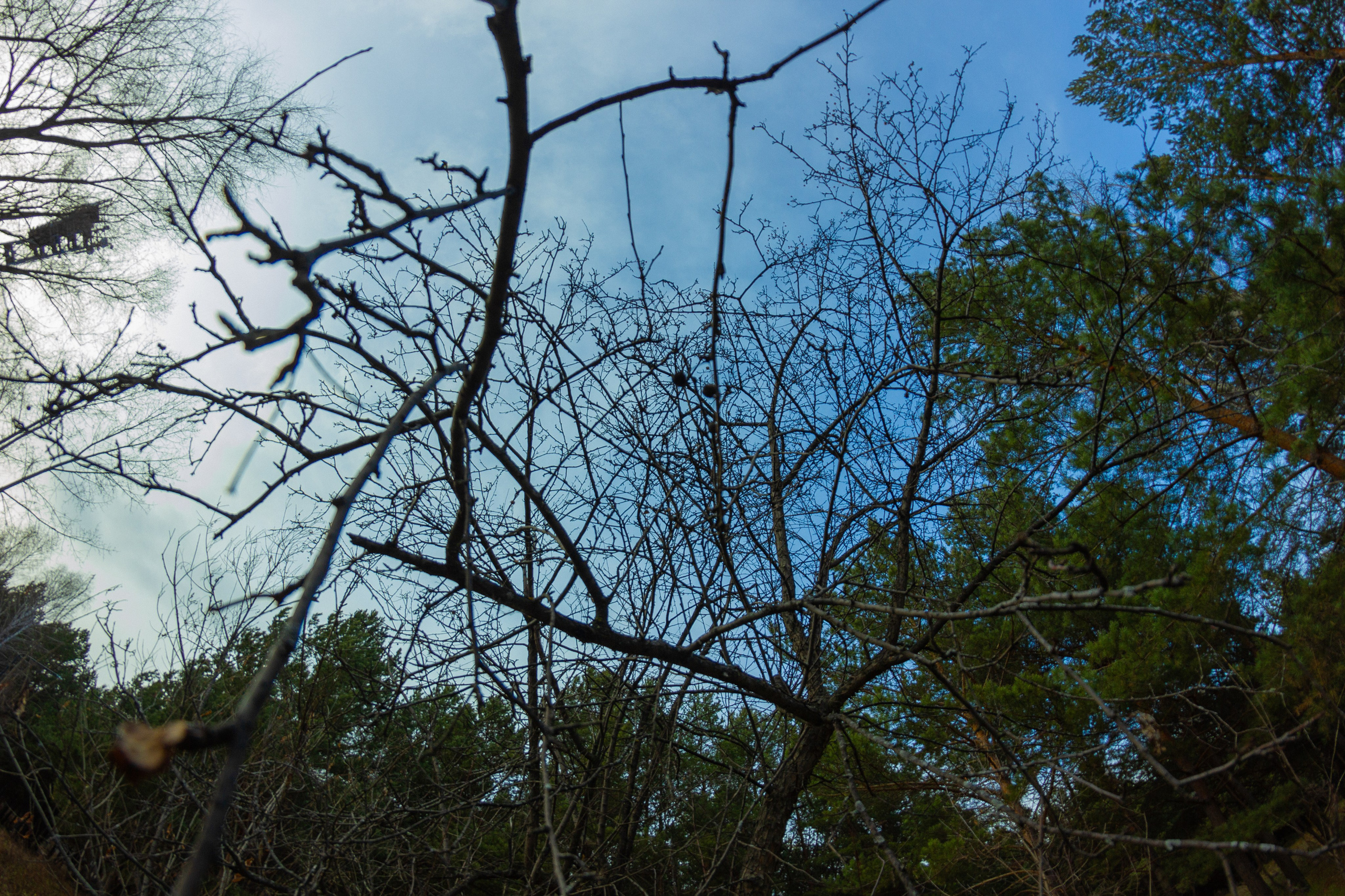 04.11.2024 | Сосновоборск. Kuznetsov | Фотограф в Красноярске