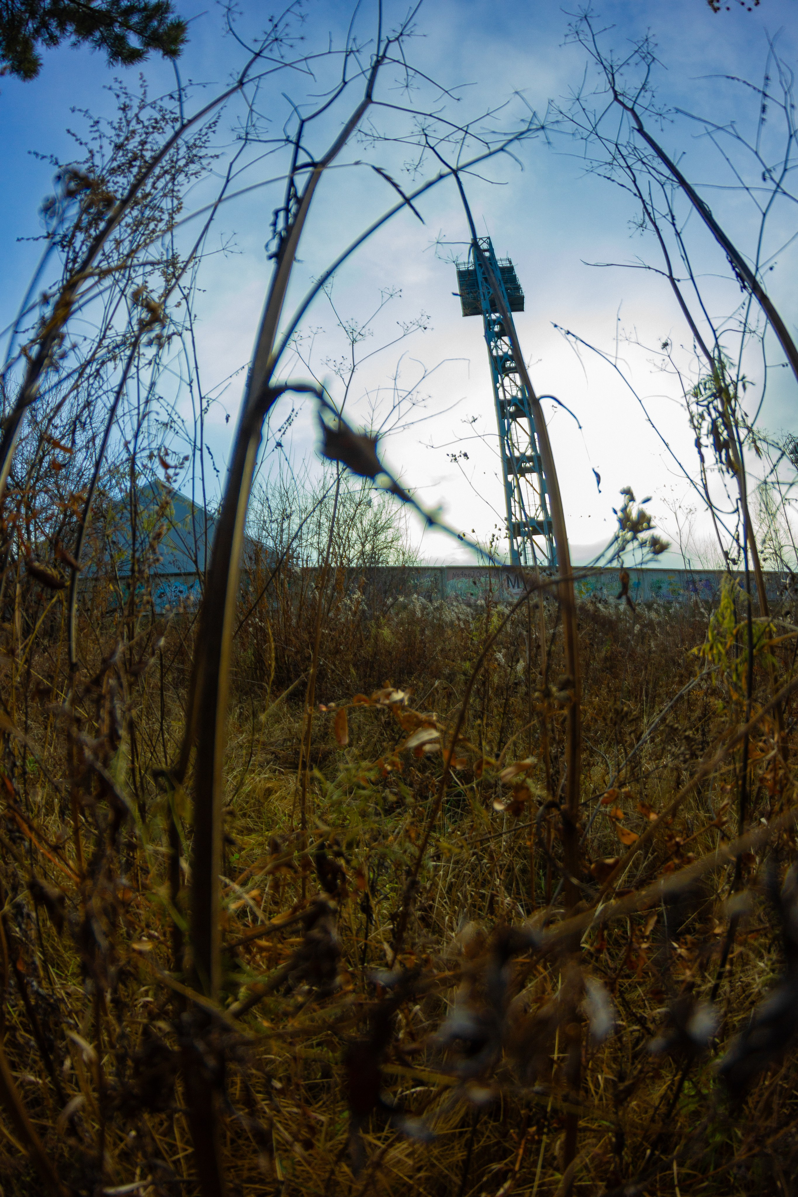 04.11.2024 | Сосновоборск. Kuznetsov | Фотограф в Красноярске