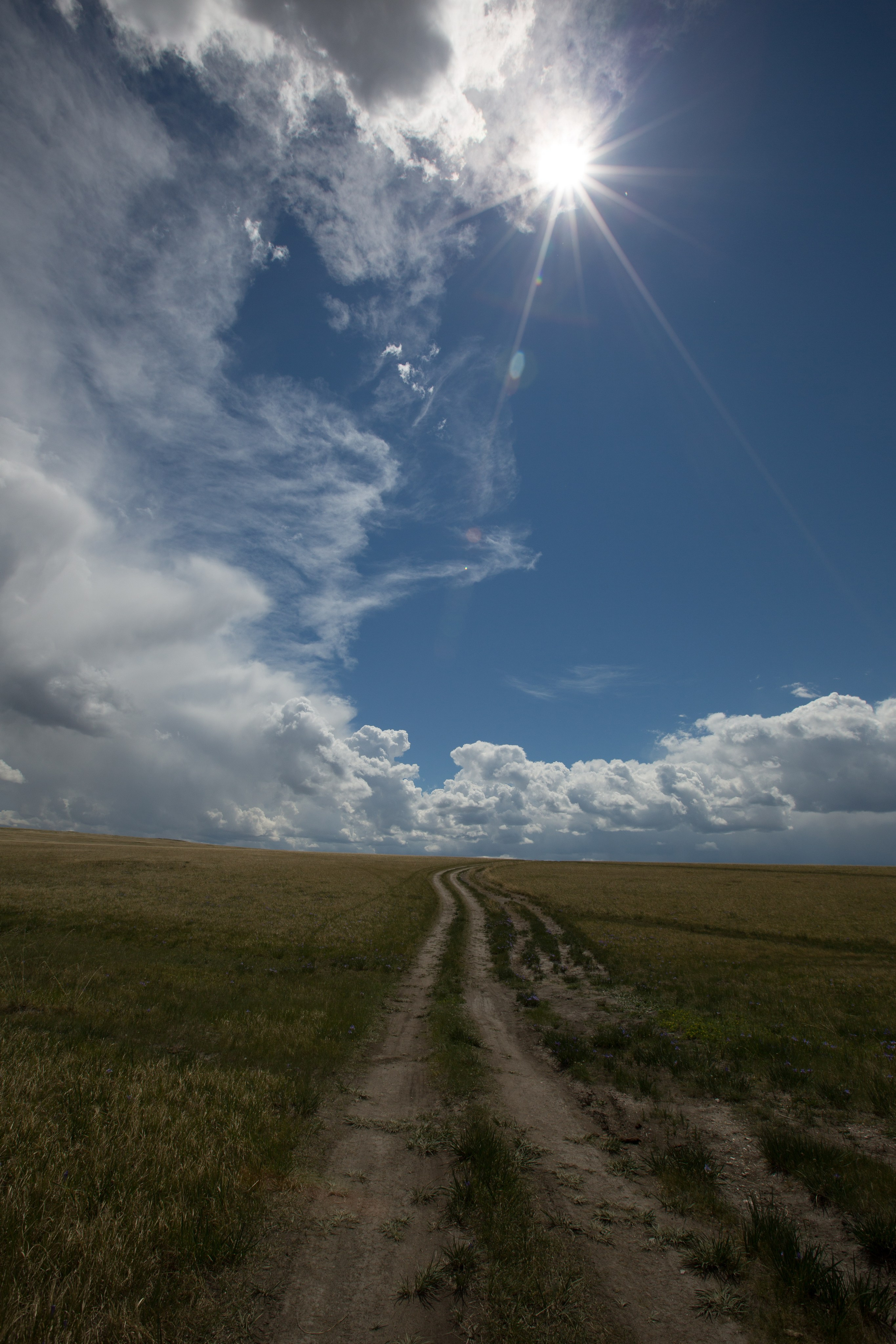 Фото Природы Забайкалья. Студия Максима Белослюдцева