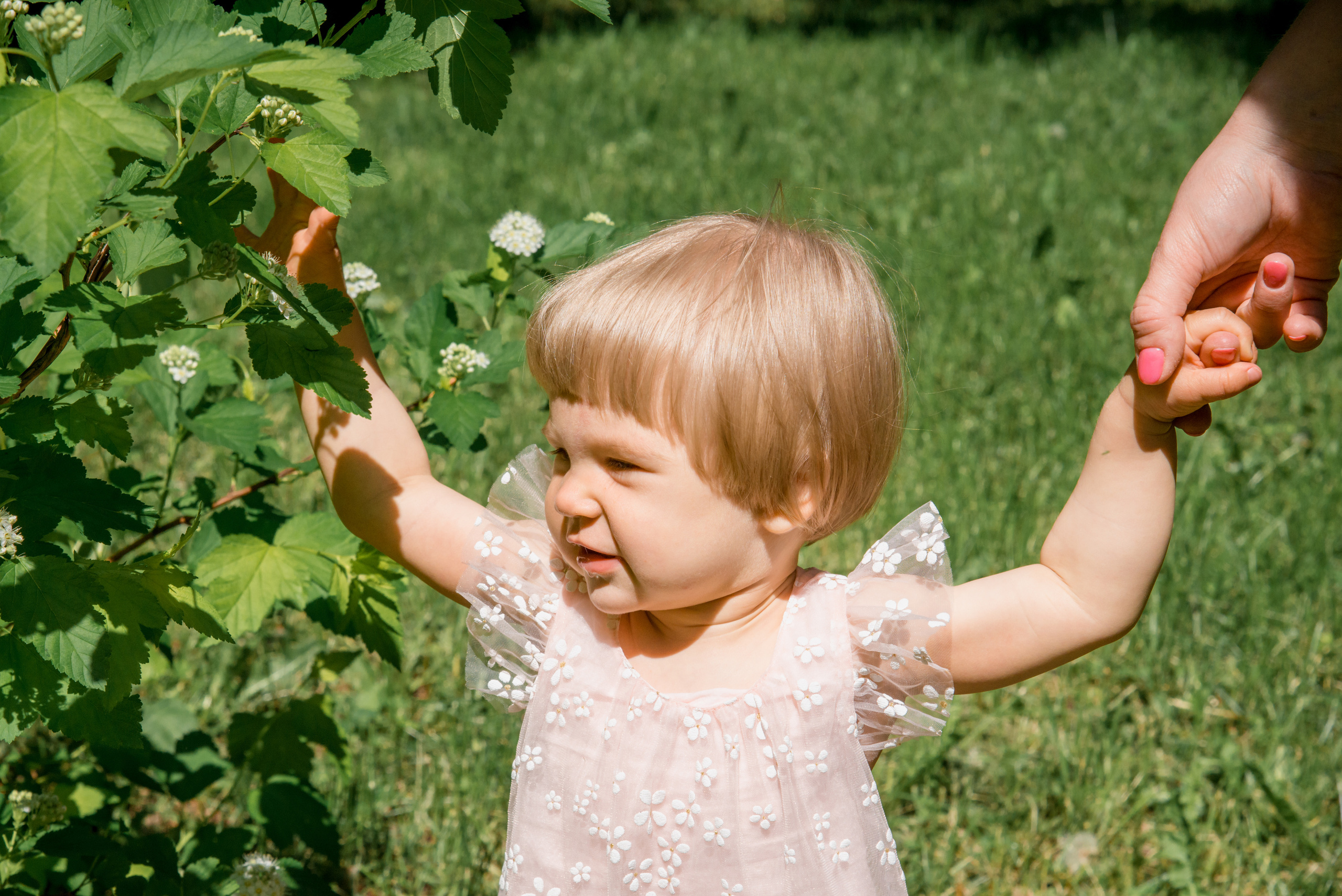 Фотопрогулка на годовасие. Фотограф в Москве Елена Брюханова