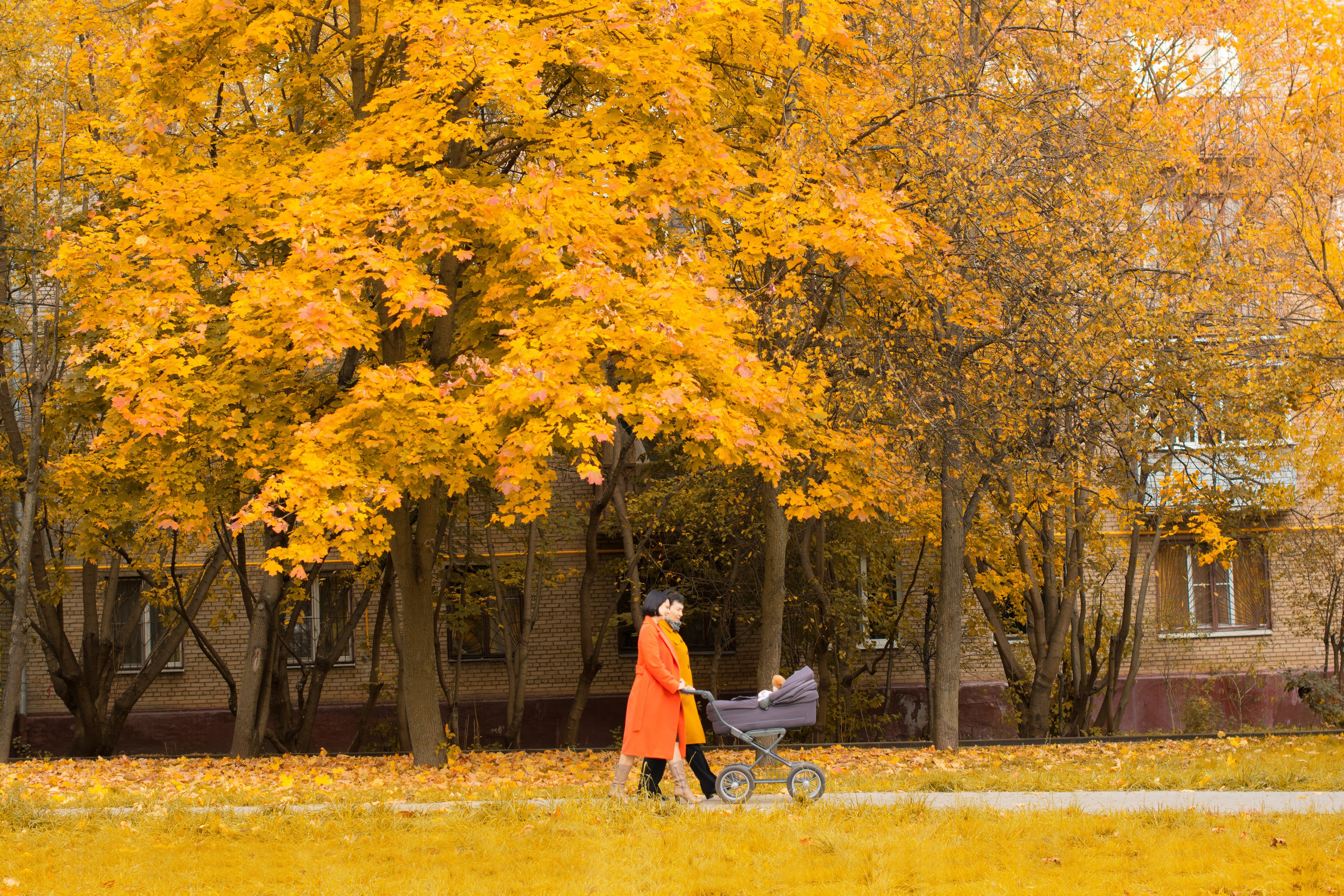 Осень в парке Измайлово. Фотосессия для Анны. Фотосессия беременности — Крылова Натали — Москва