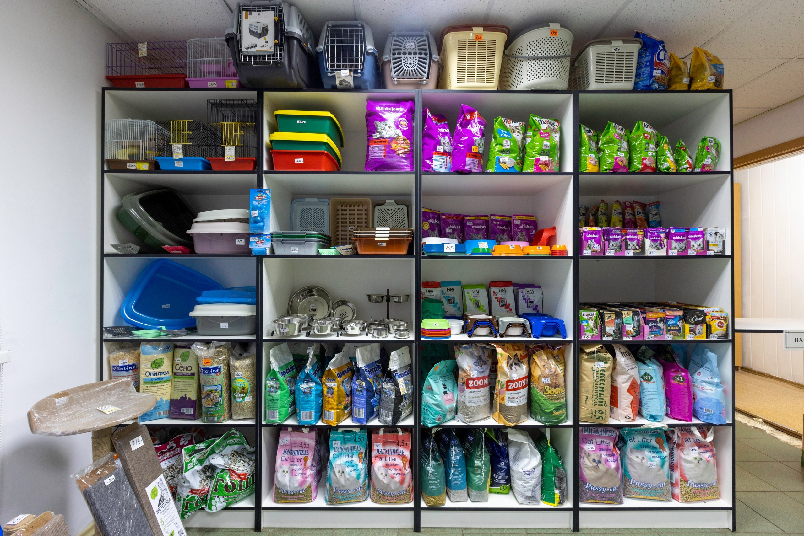 БАРОН. Ветеринарная клиника. Фотограф в Туле Крупский АнДРей. Фотостудия «КАДР71» в Туле