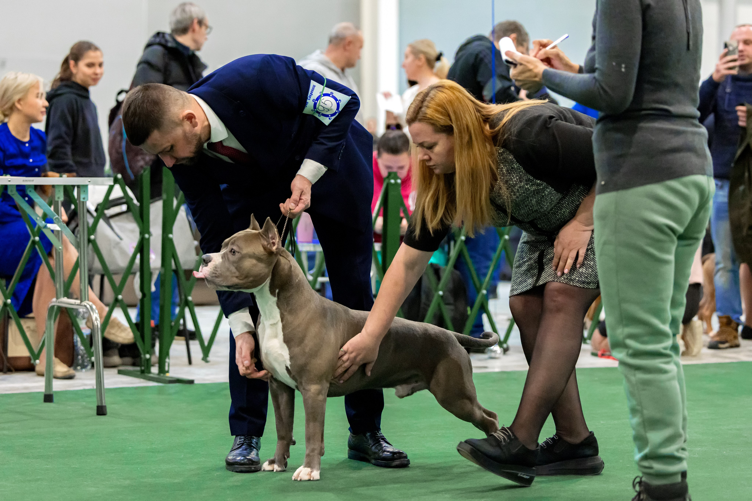 Крокус 3,9 и 10.12.2023. Фотограф-анималист Юлия Германика