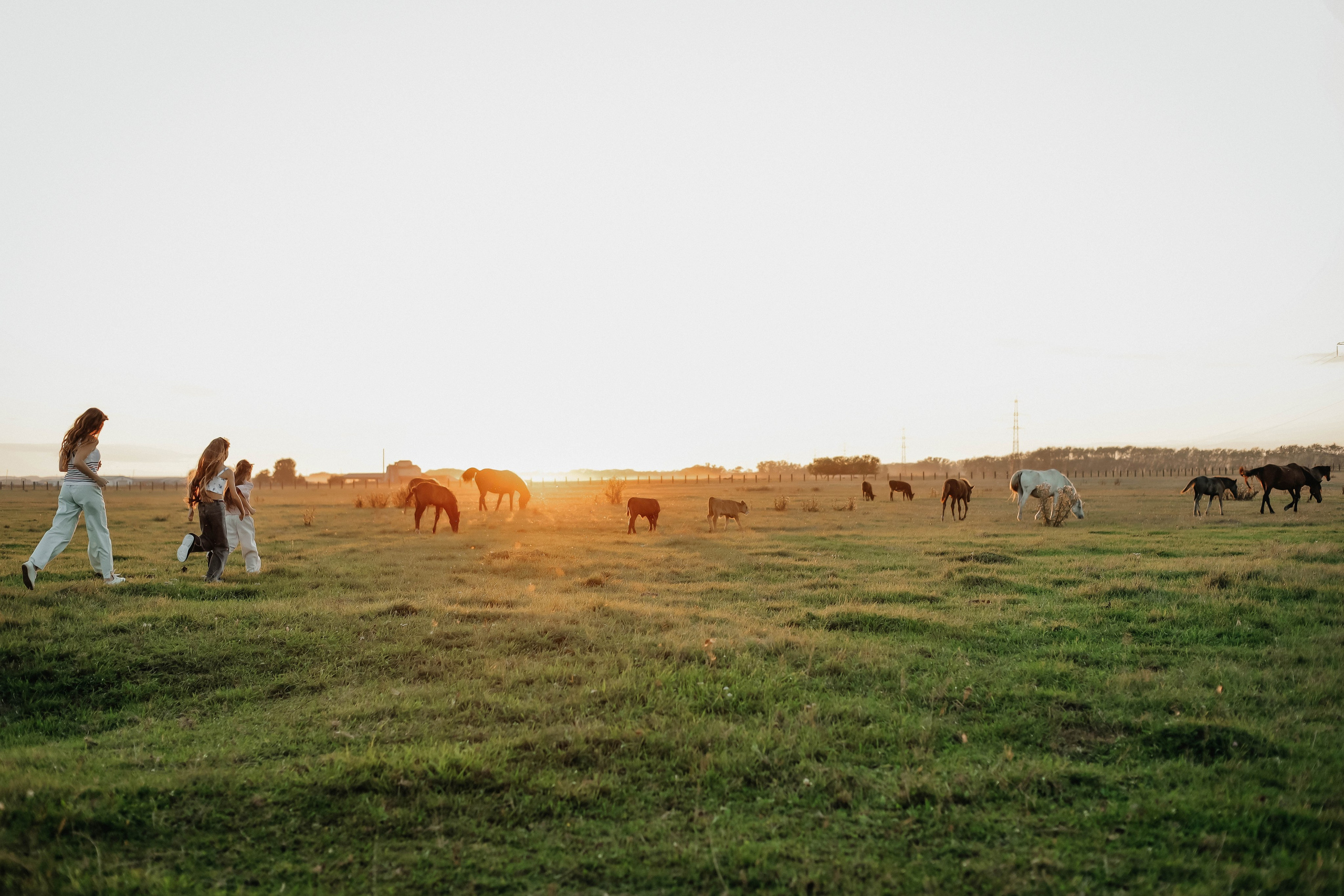 АЛЬБОМ16. Семейный фотограф Анна Мезенцева