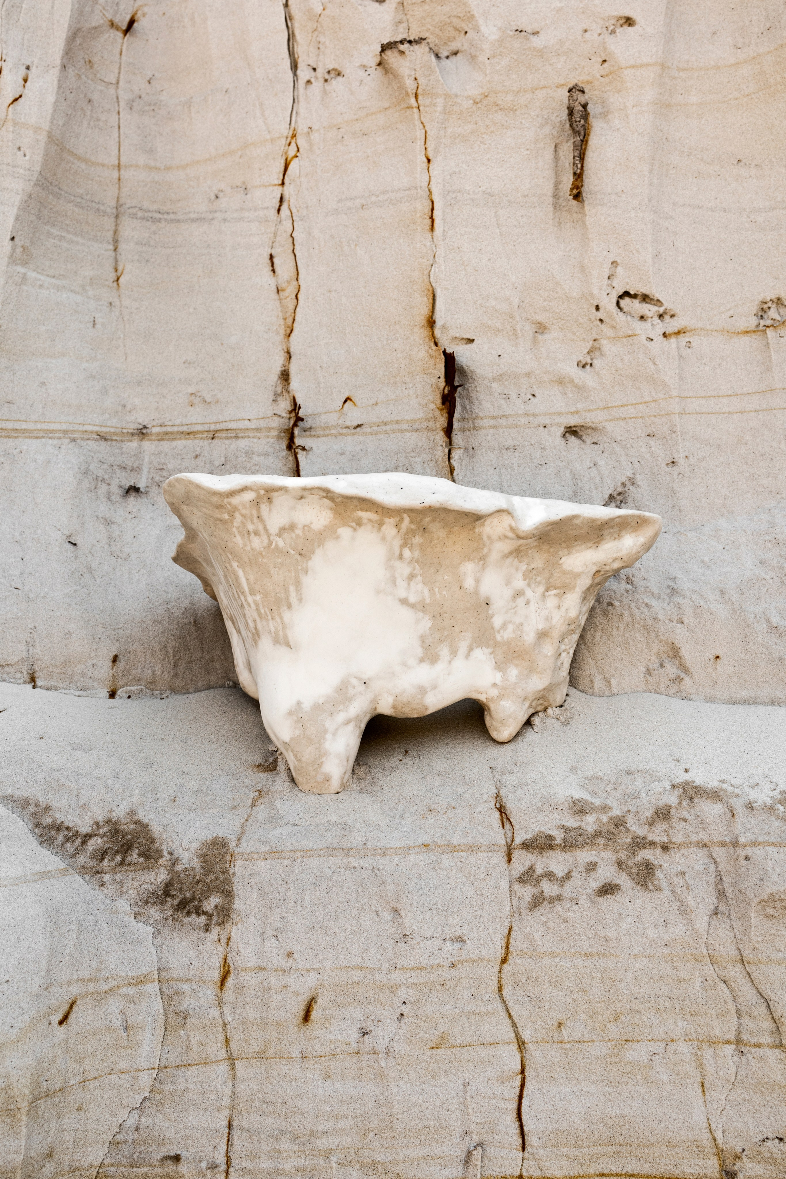 Amphostrea. Anna Atayan Photographer